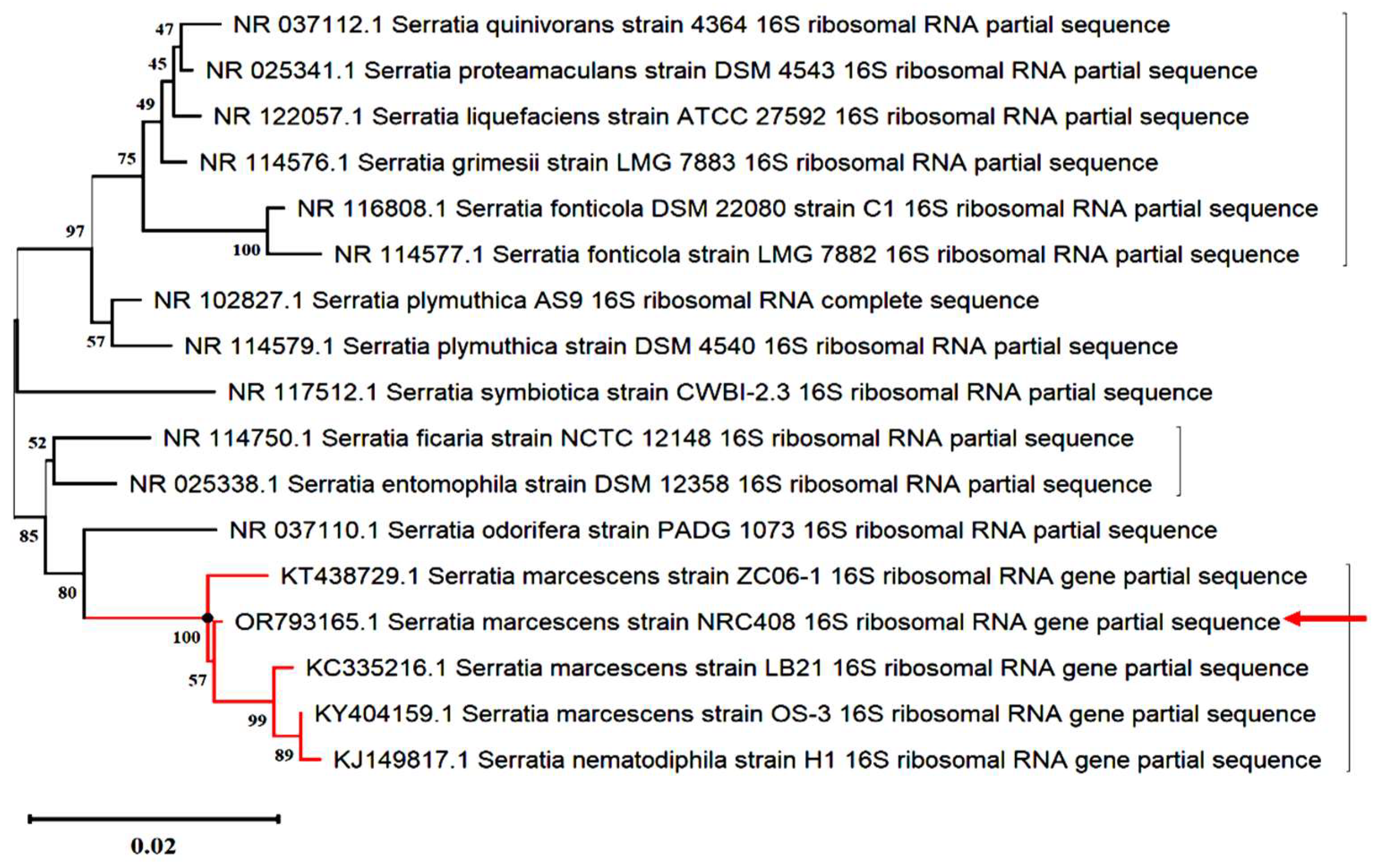 Molecules 29 01466 g001