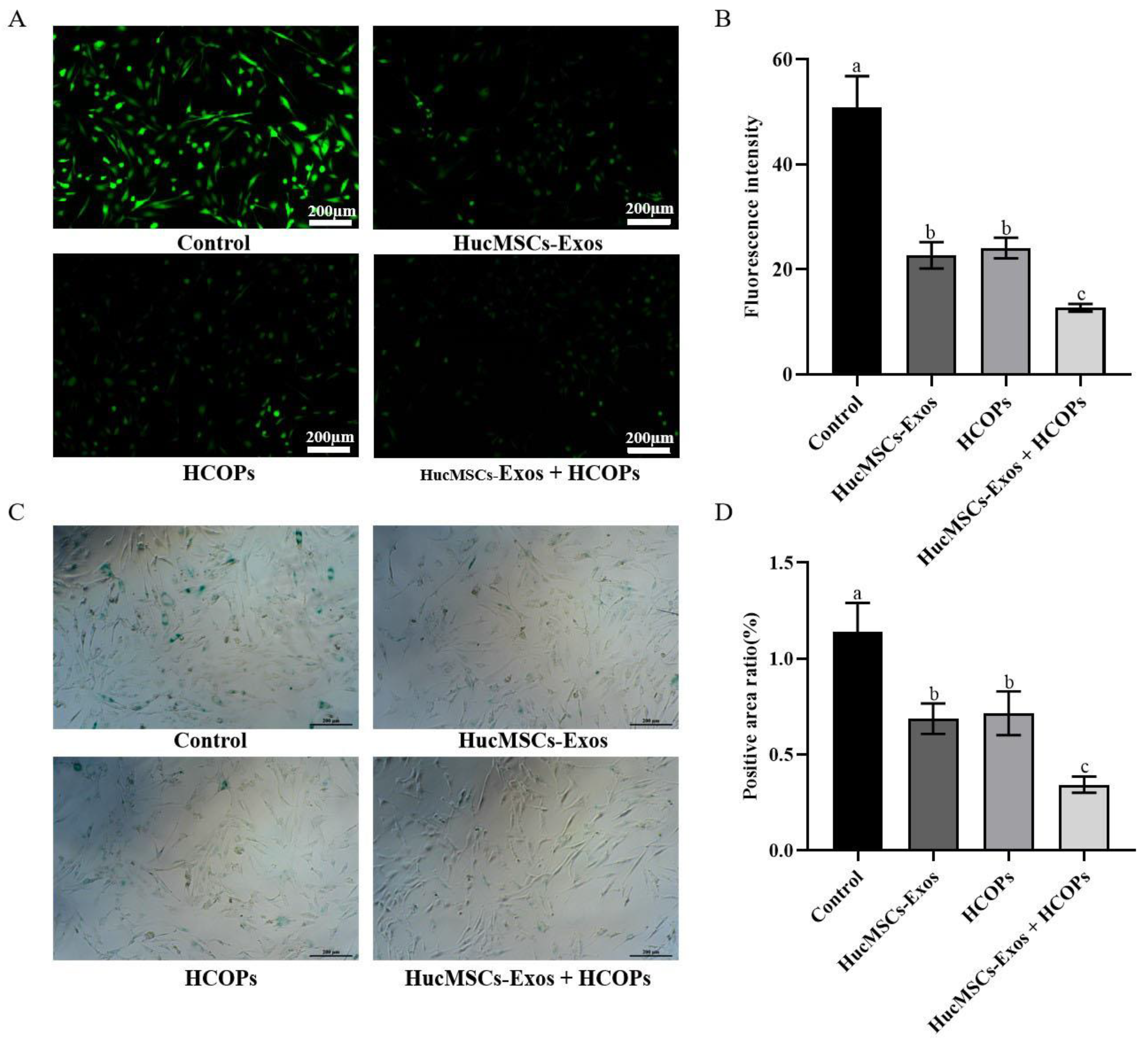 Molecules 29 01468 g005