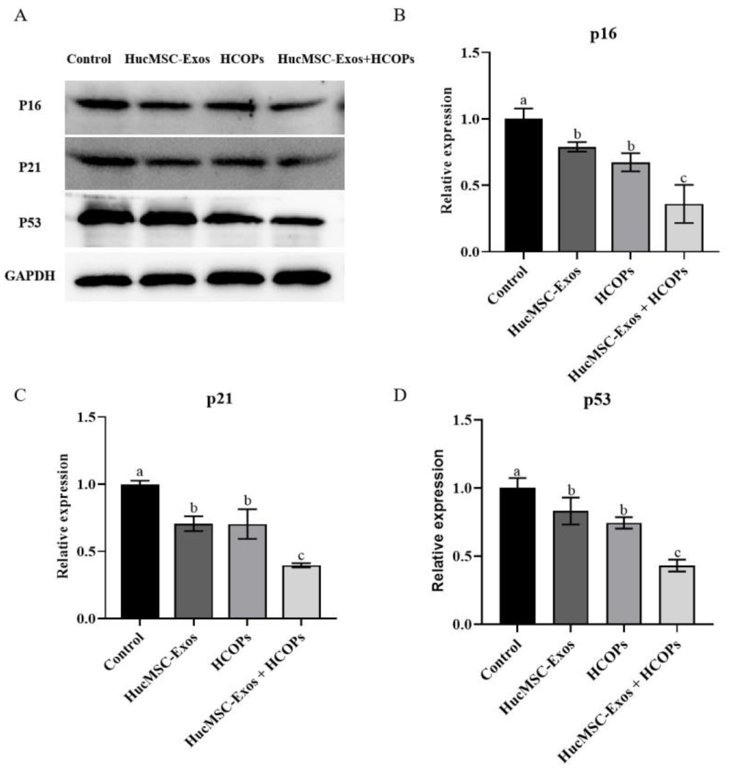 Molecules 29 01468 g008
