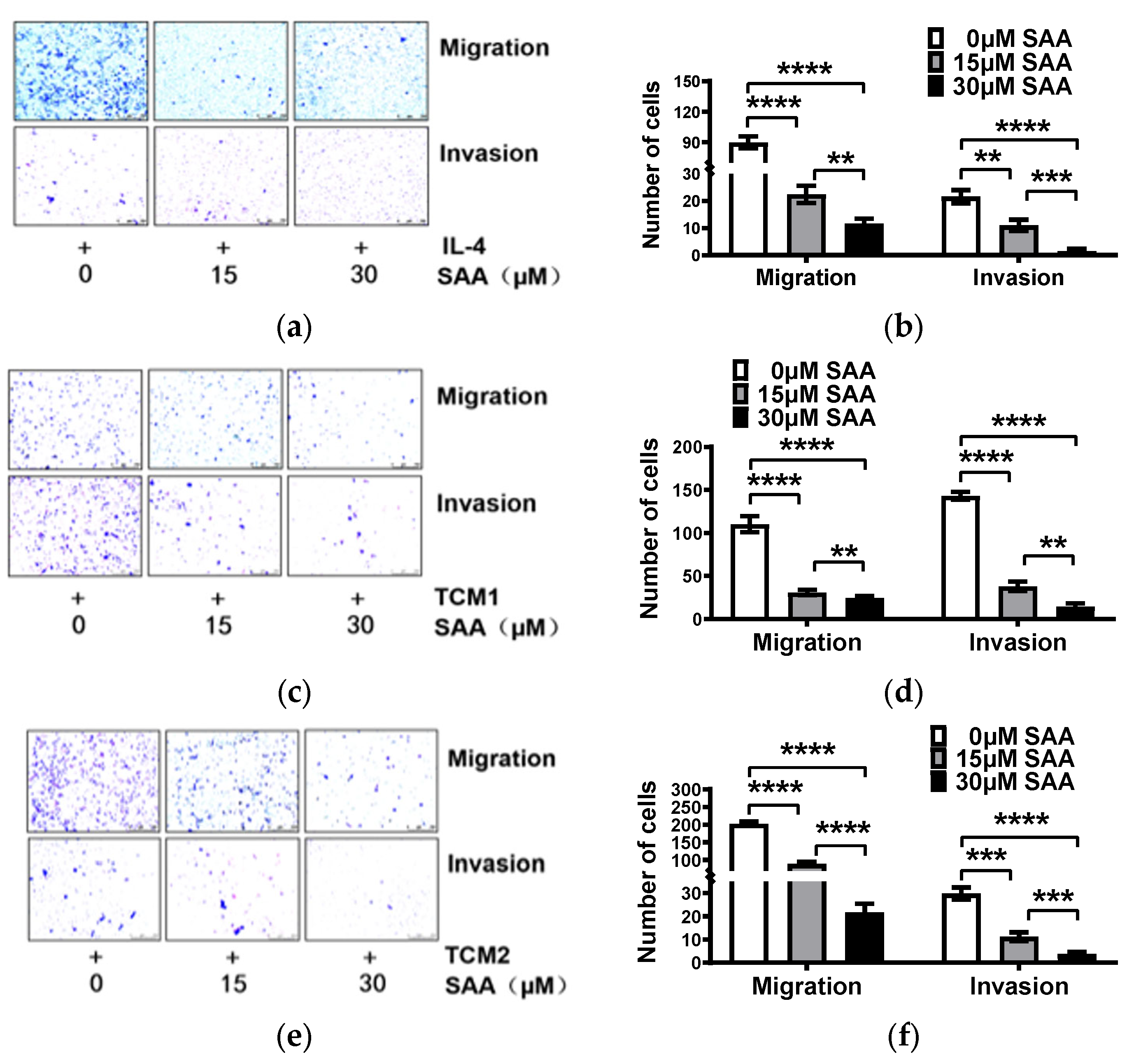 Molecules 29 01469 g005