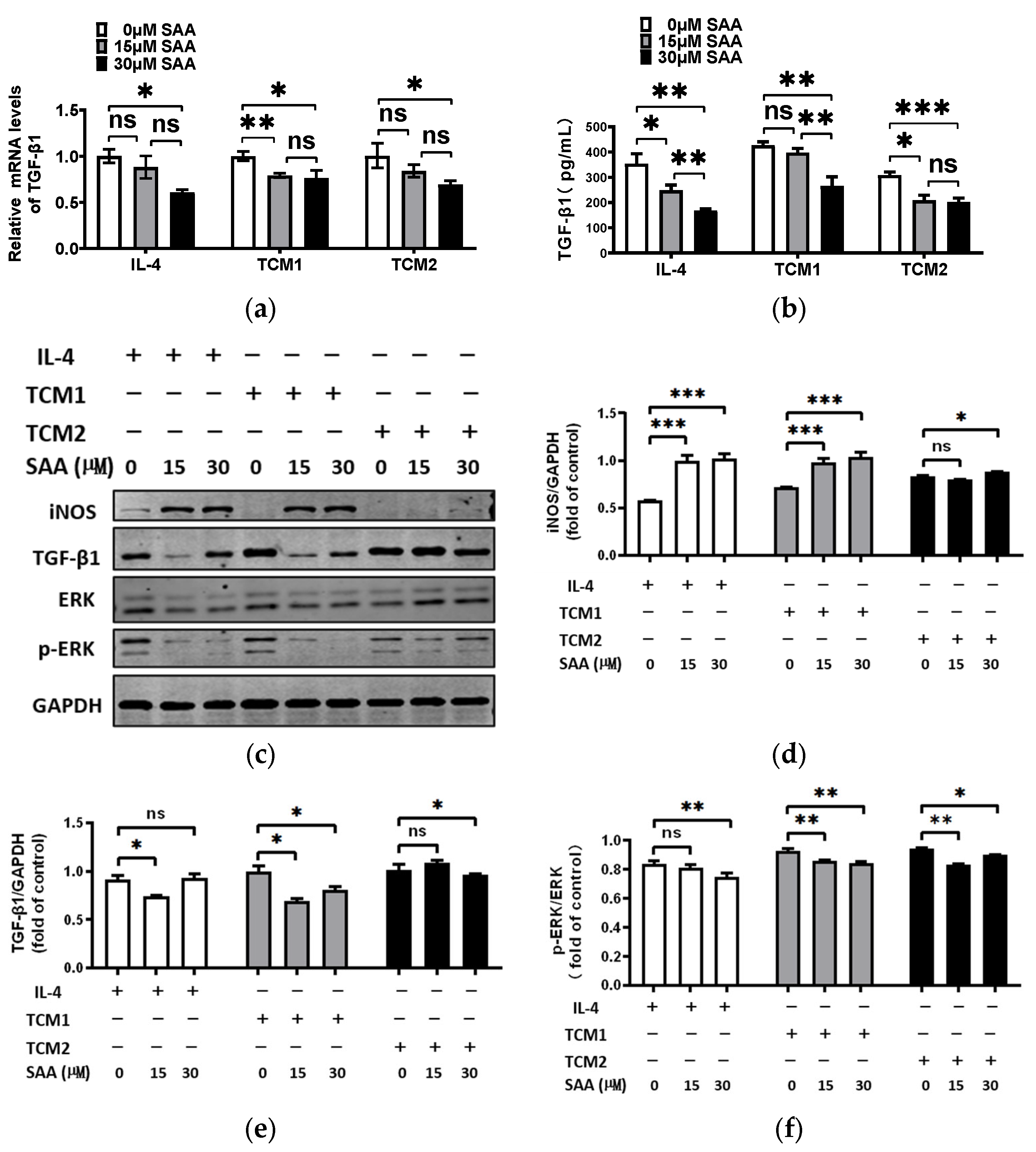 Molecules 29 01469 g006