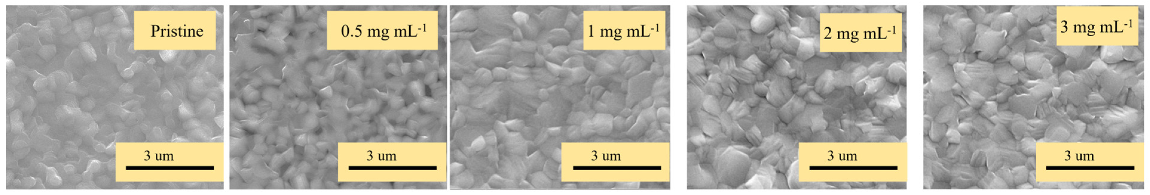 Molecules 29 01476 g001