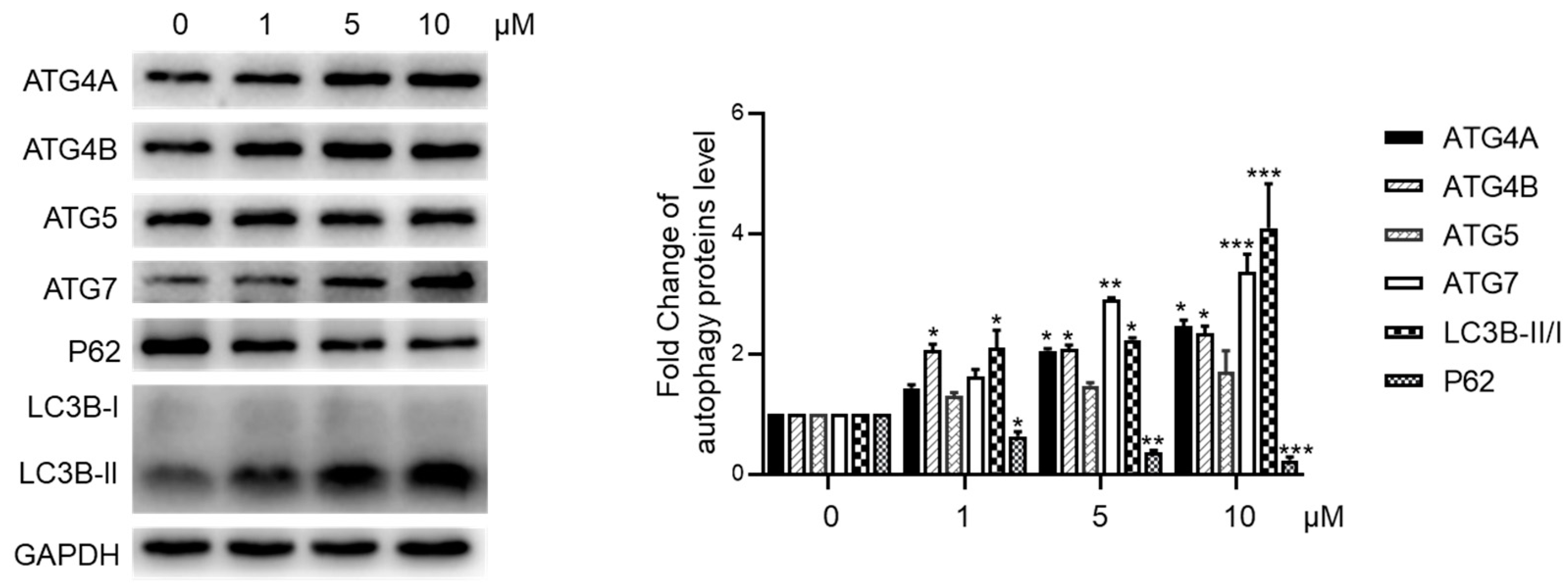 Molecules 29 01477 g004