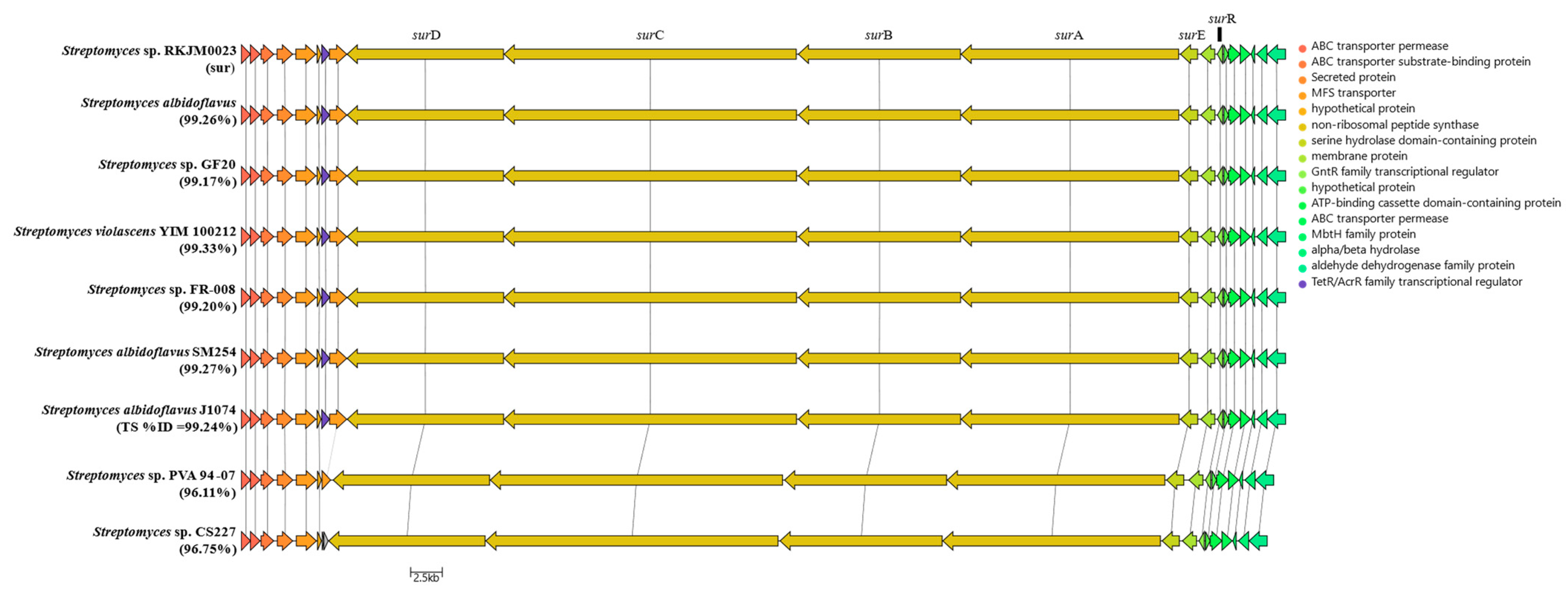 Molecules 29 01482 g005