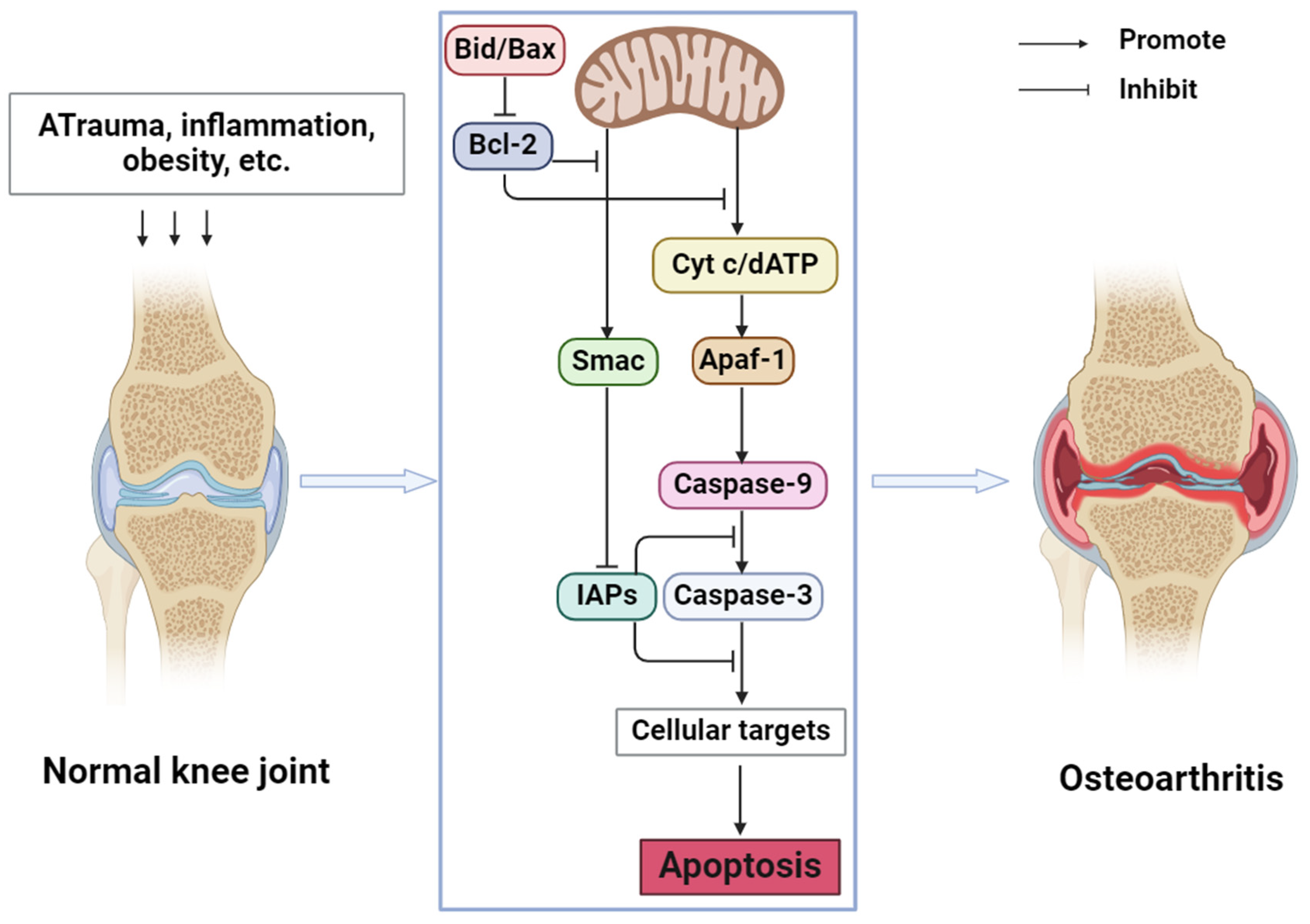 Molecules 29 01487 g001
