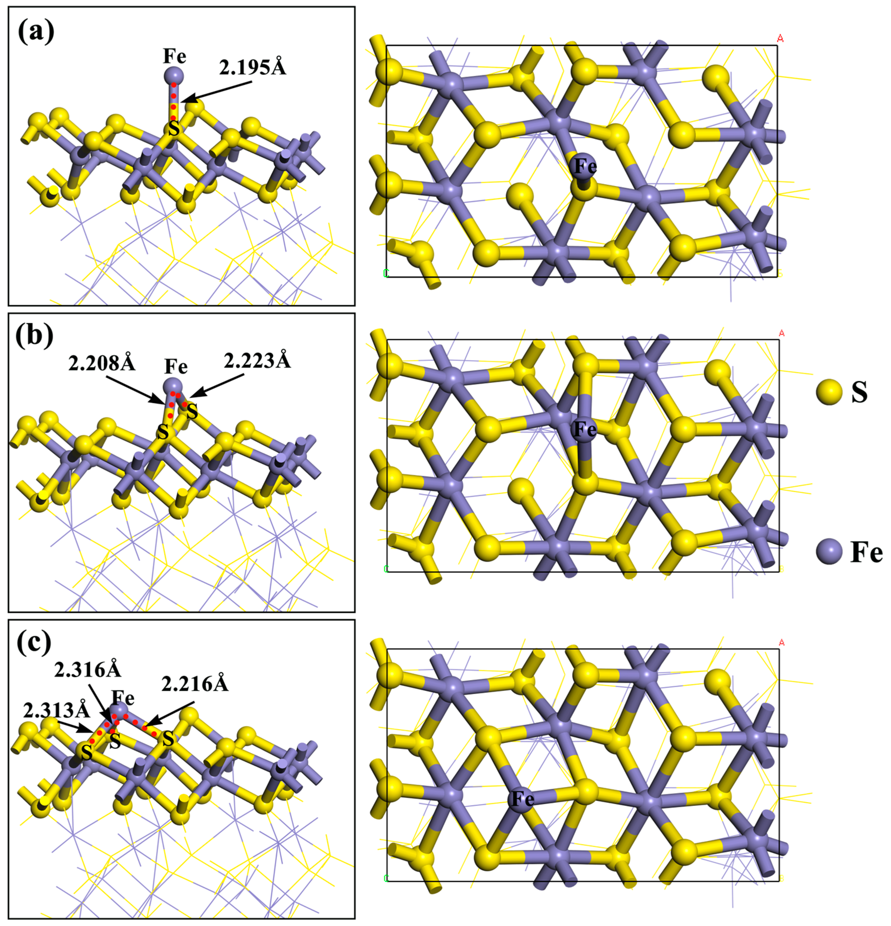 Molecules 29 01490 g003 Molecules 29 01490 g003