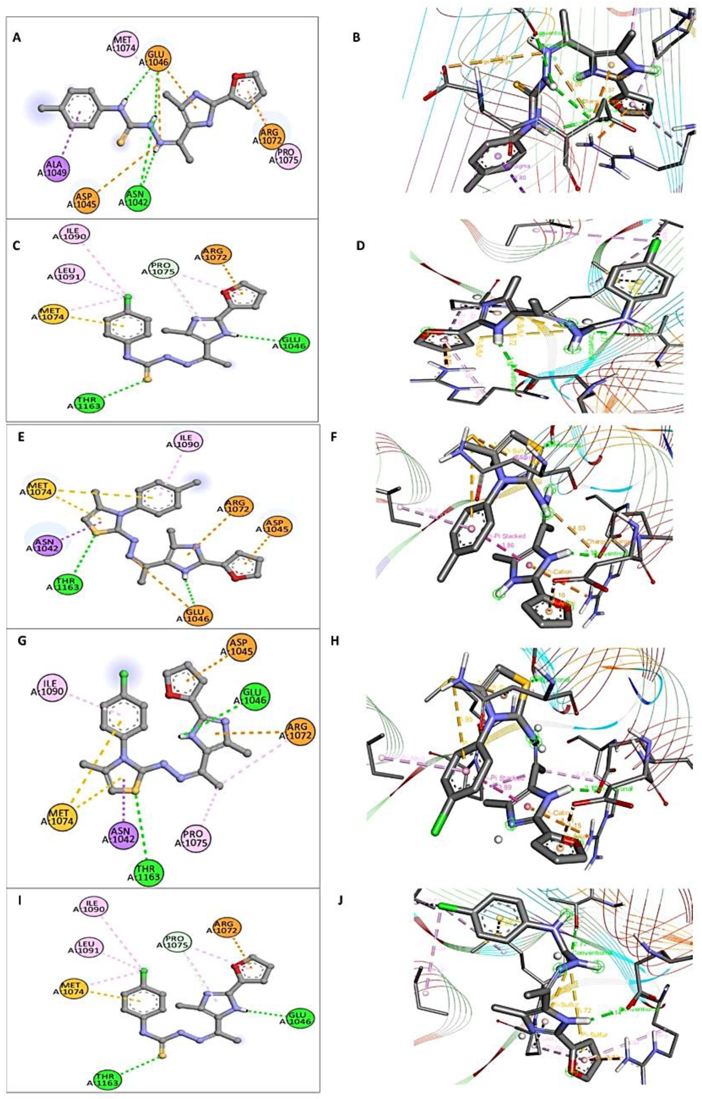 Molecules 29 01491 g003 Molecules 29 01491 g003
