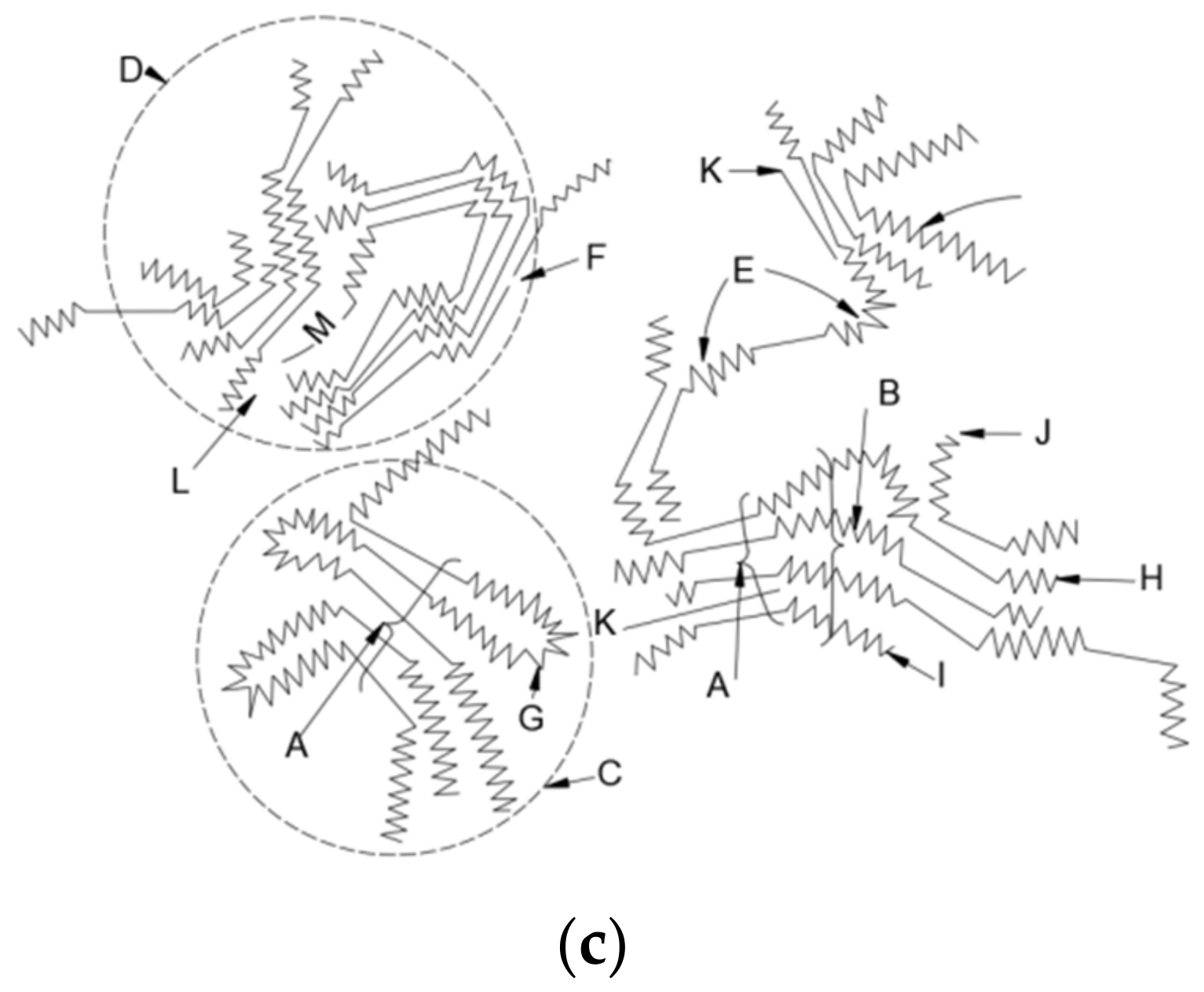 Molecules 29 01500 g001b