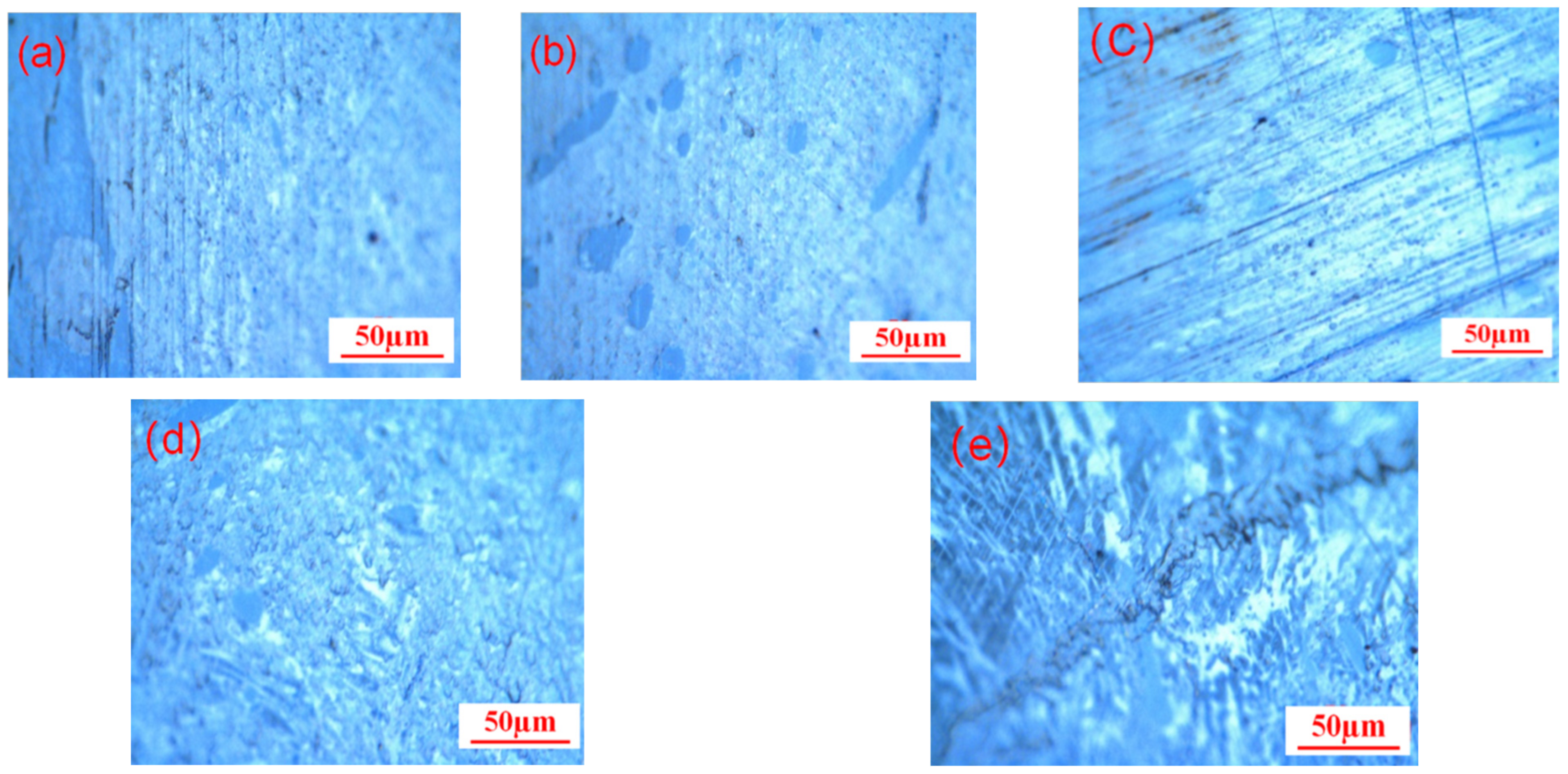 Molecules 29 01500 g002