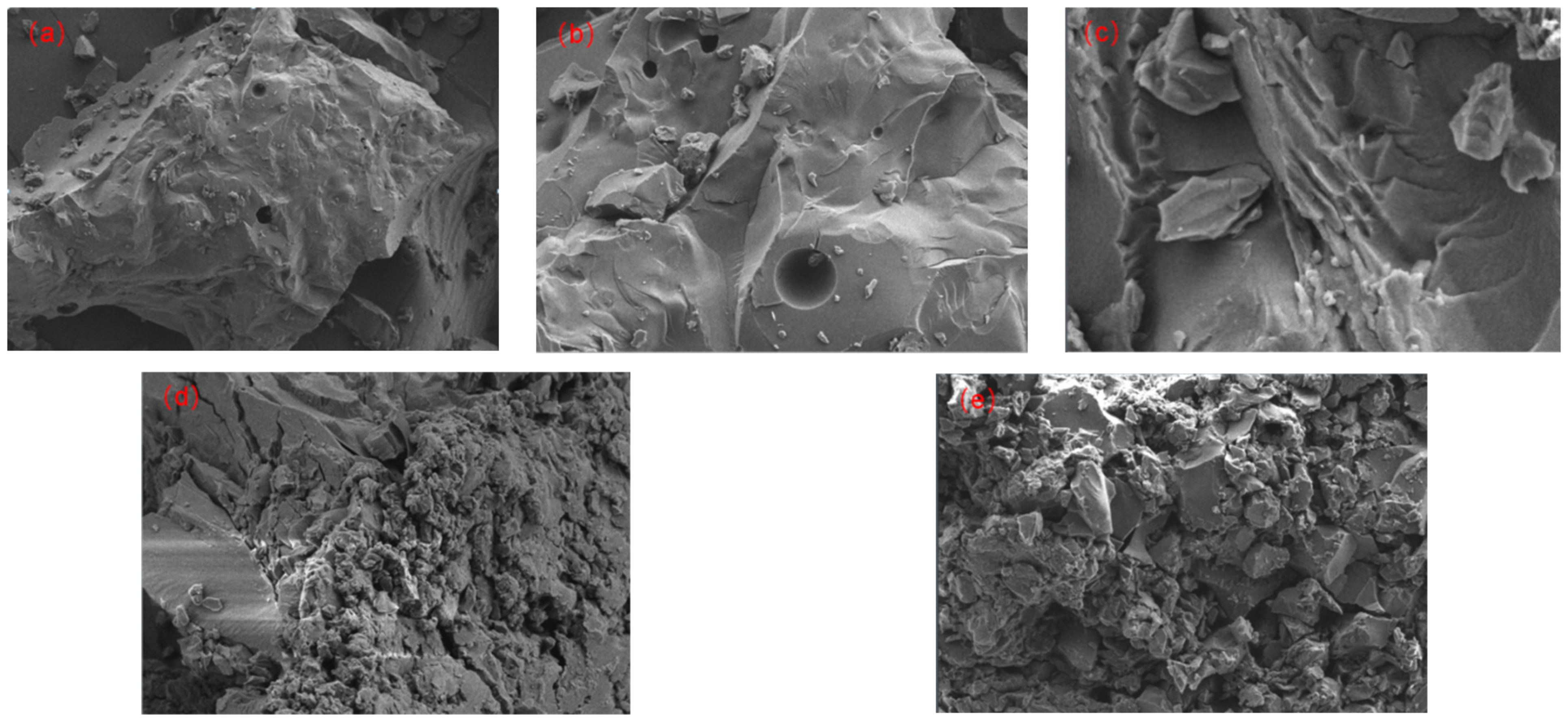 Molecules 29 01500 g007