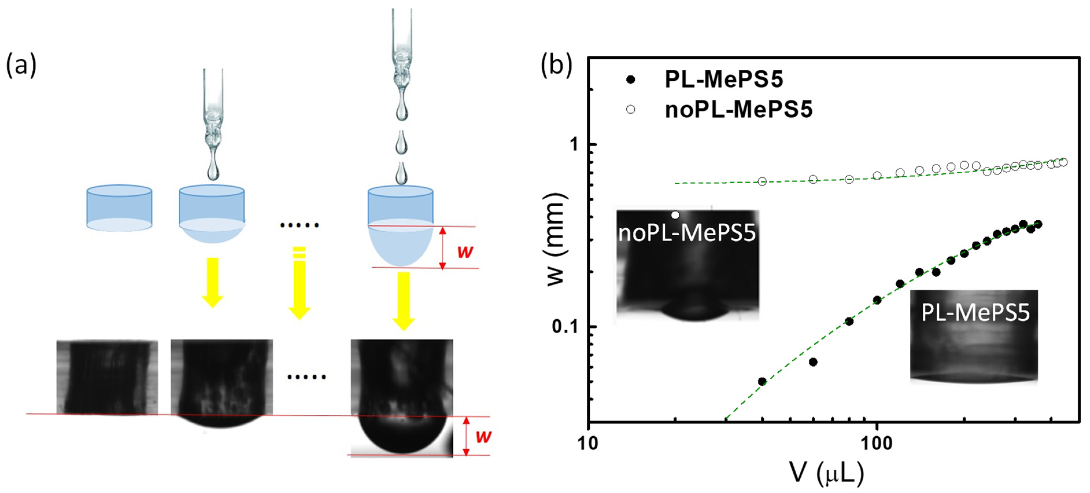 Molecules 29 01506 g001 Molecules 29 01506 g001