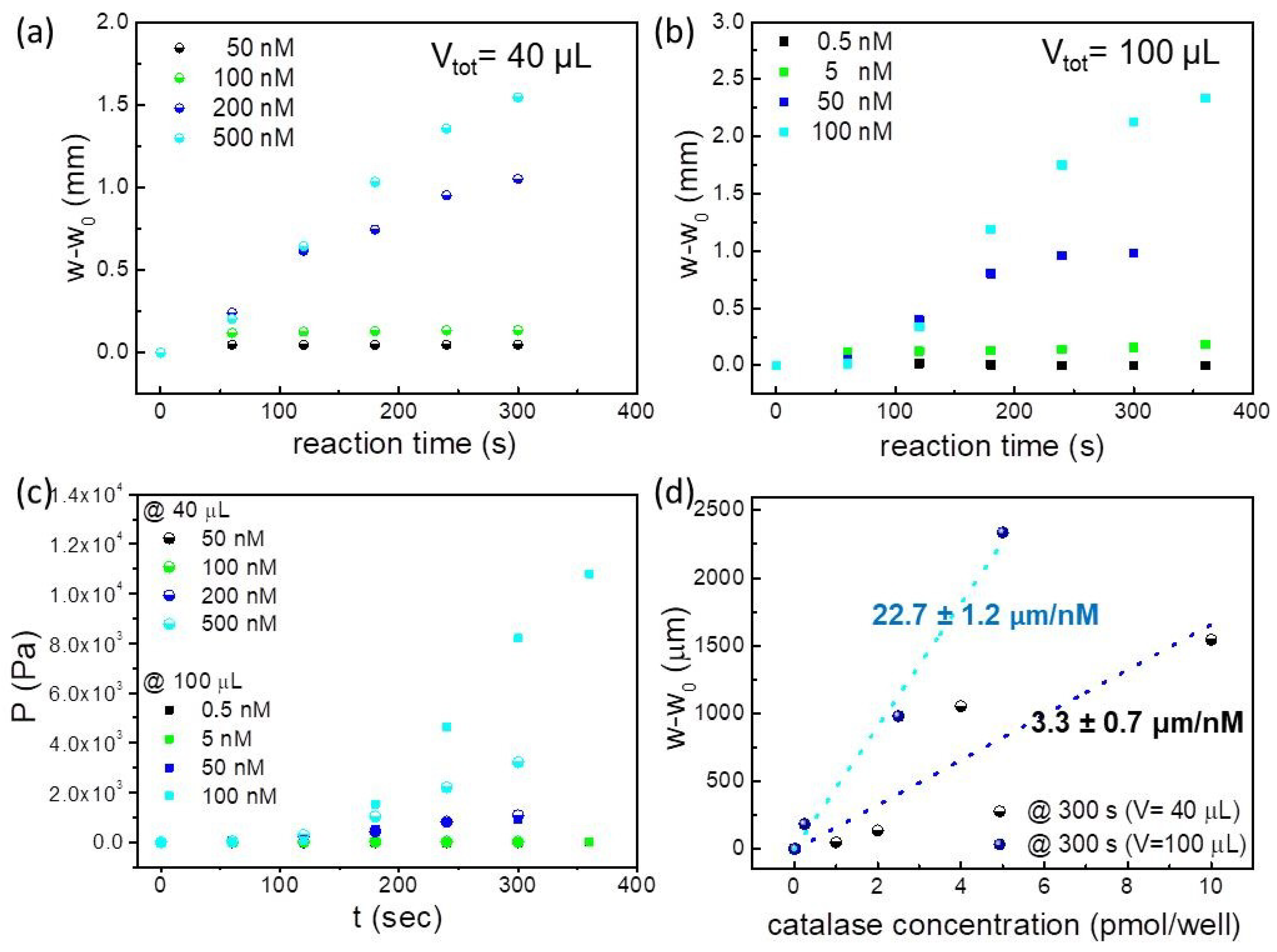 Molecules 29 01506 g005 Molecules 29 01506 g005