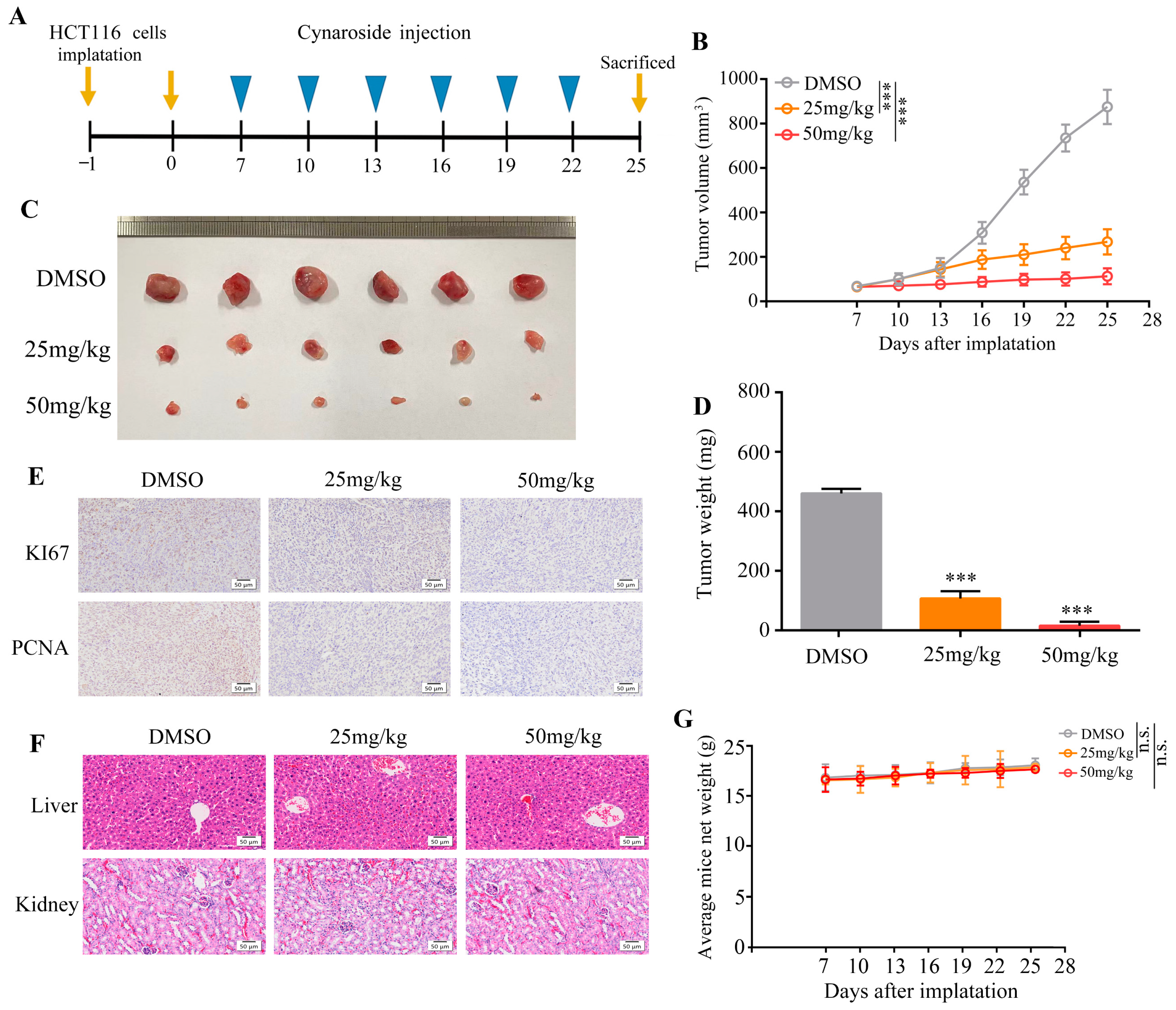 Molecules 29 01508 g002