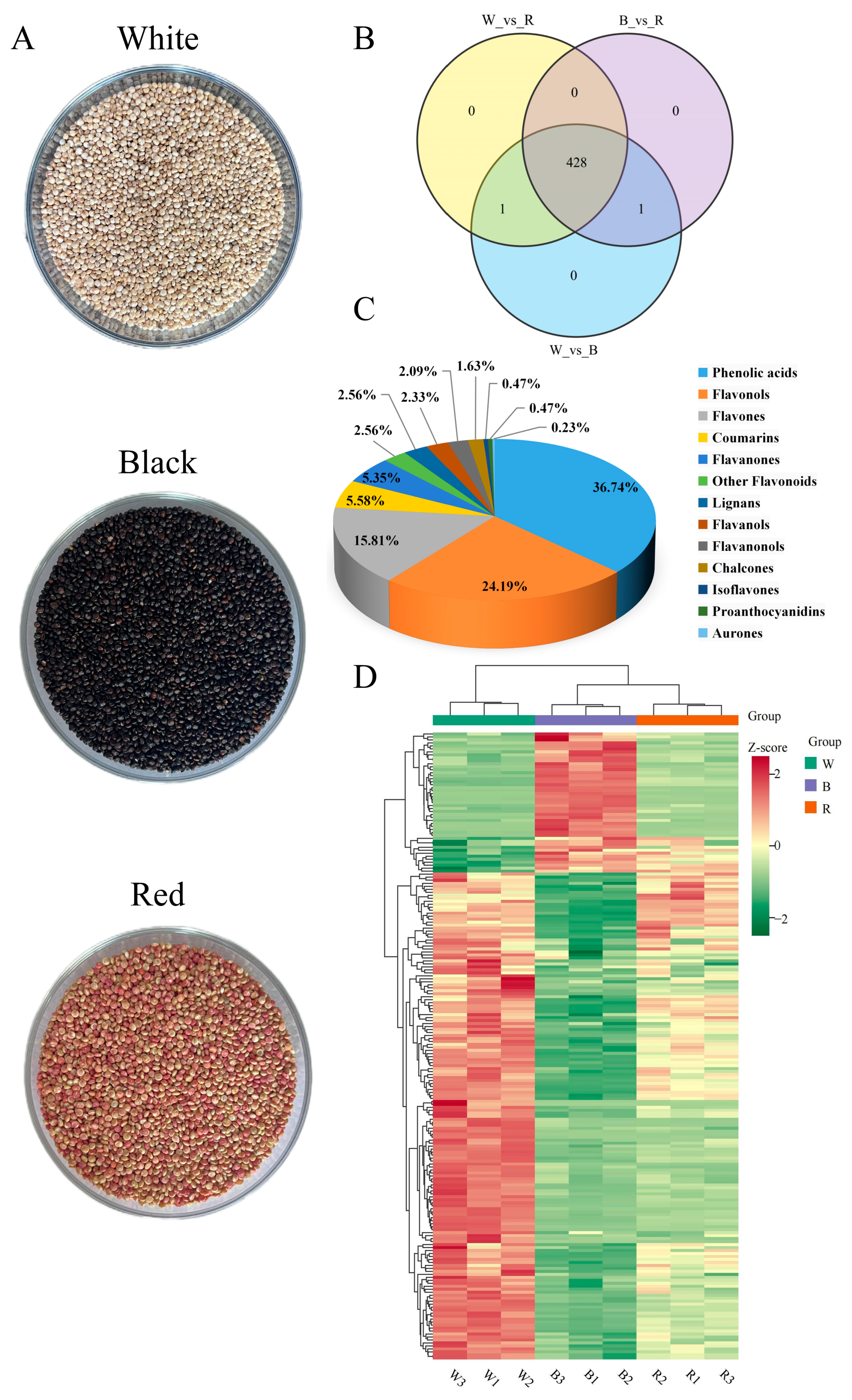 Molecules 29 01509 g001