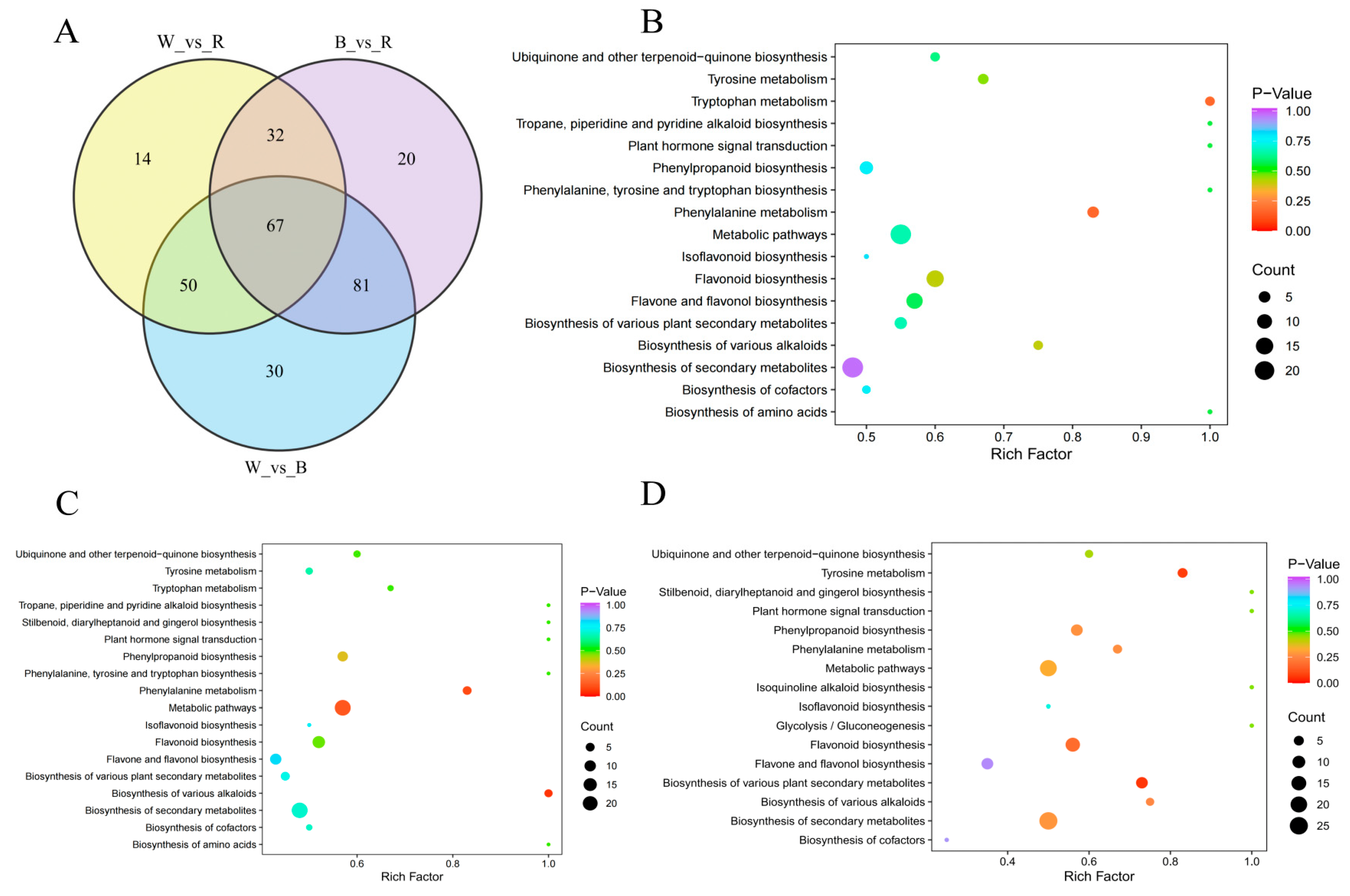 Molecules 29 01509 g004