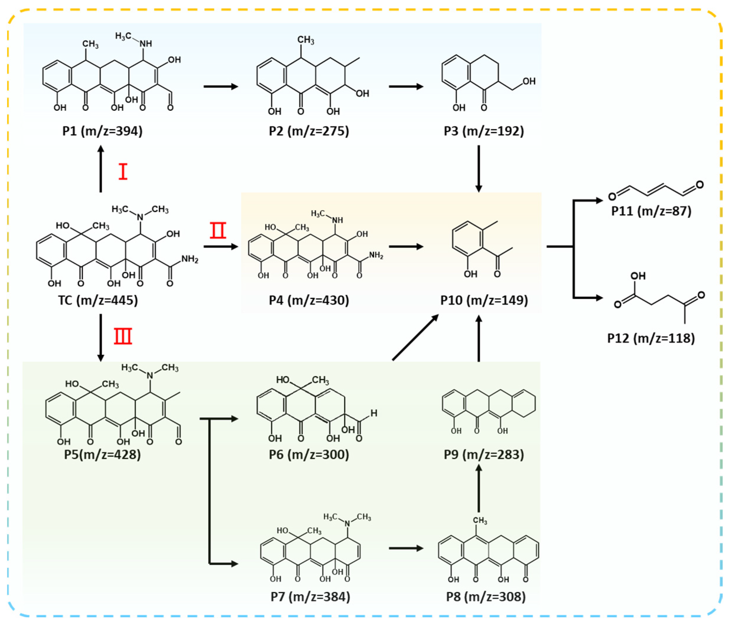 Molecules 29 01514 g005