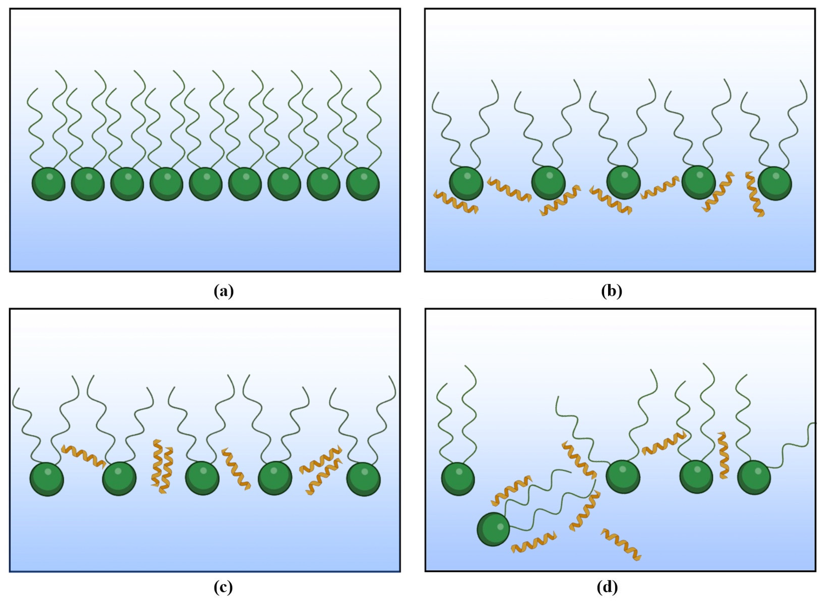 Molecules 29 01522 g004