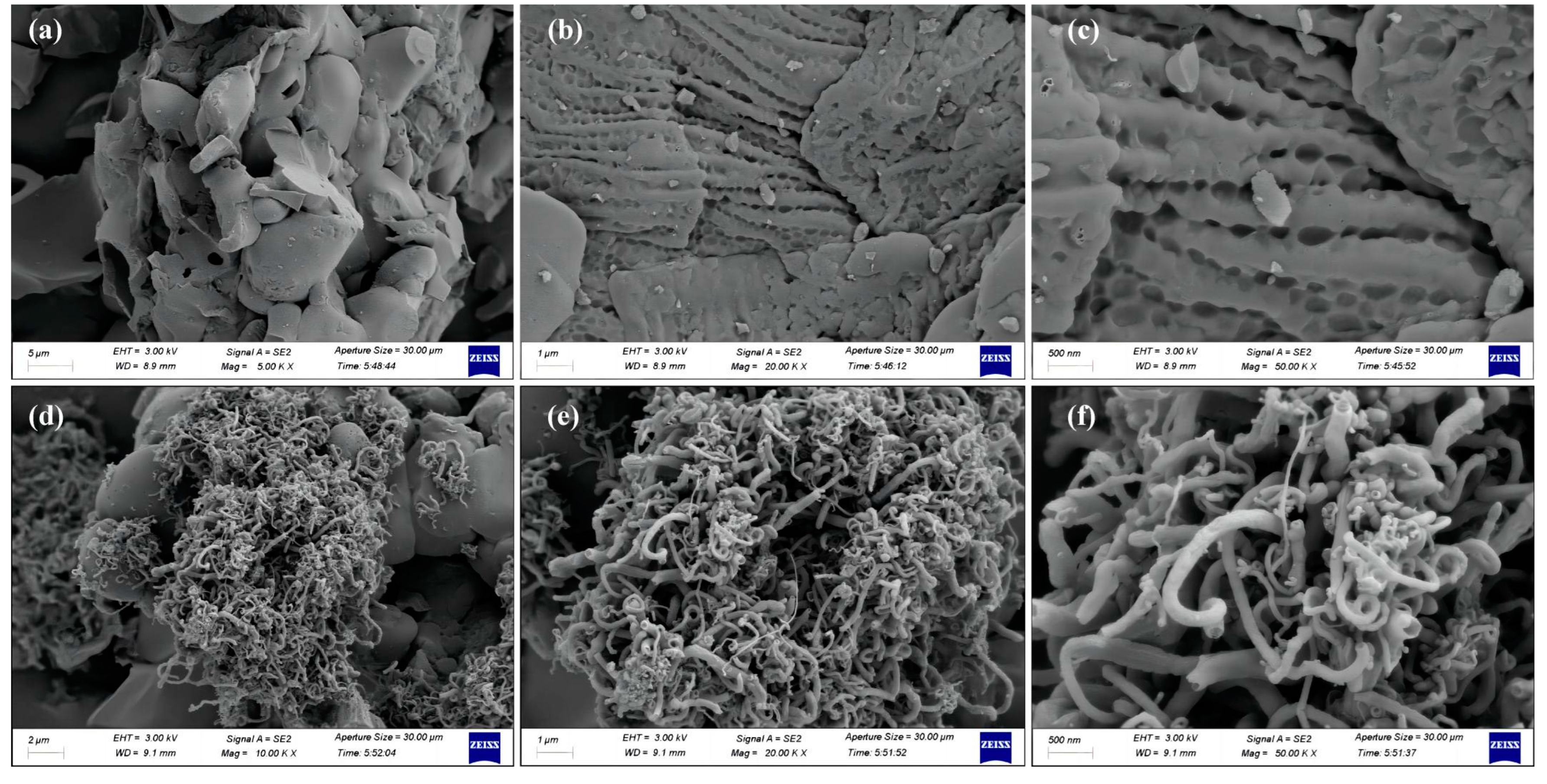 Molecules 29 01525 g001