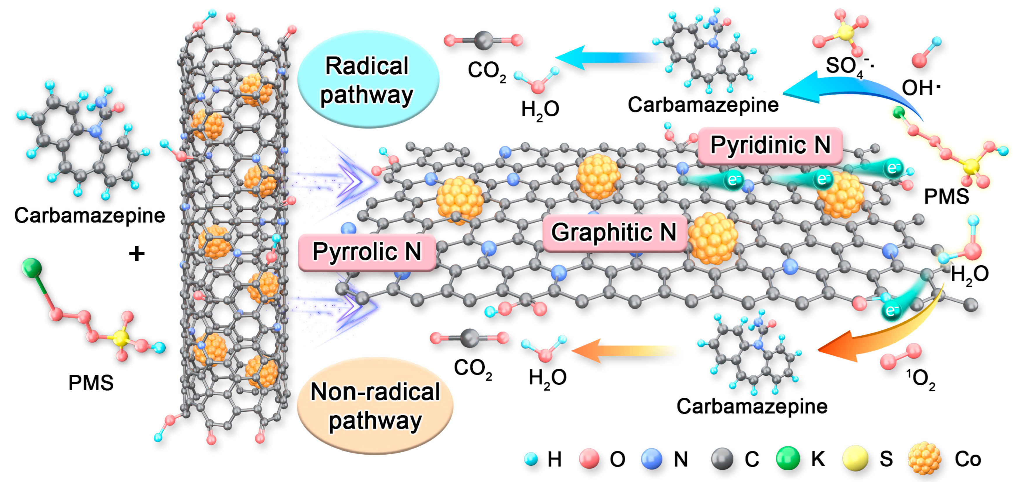 Molecules 29 01525 g009