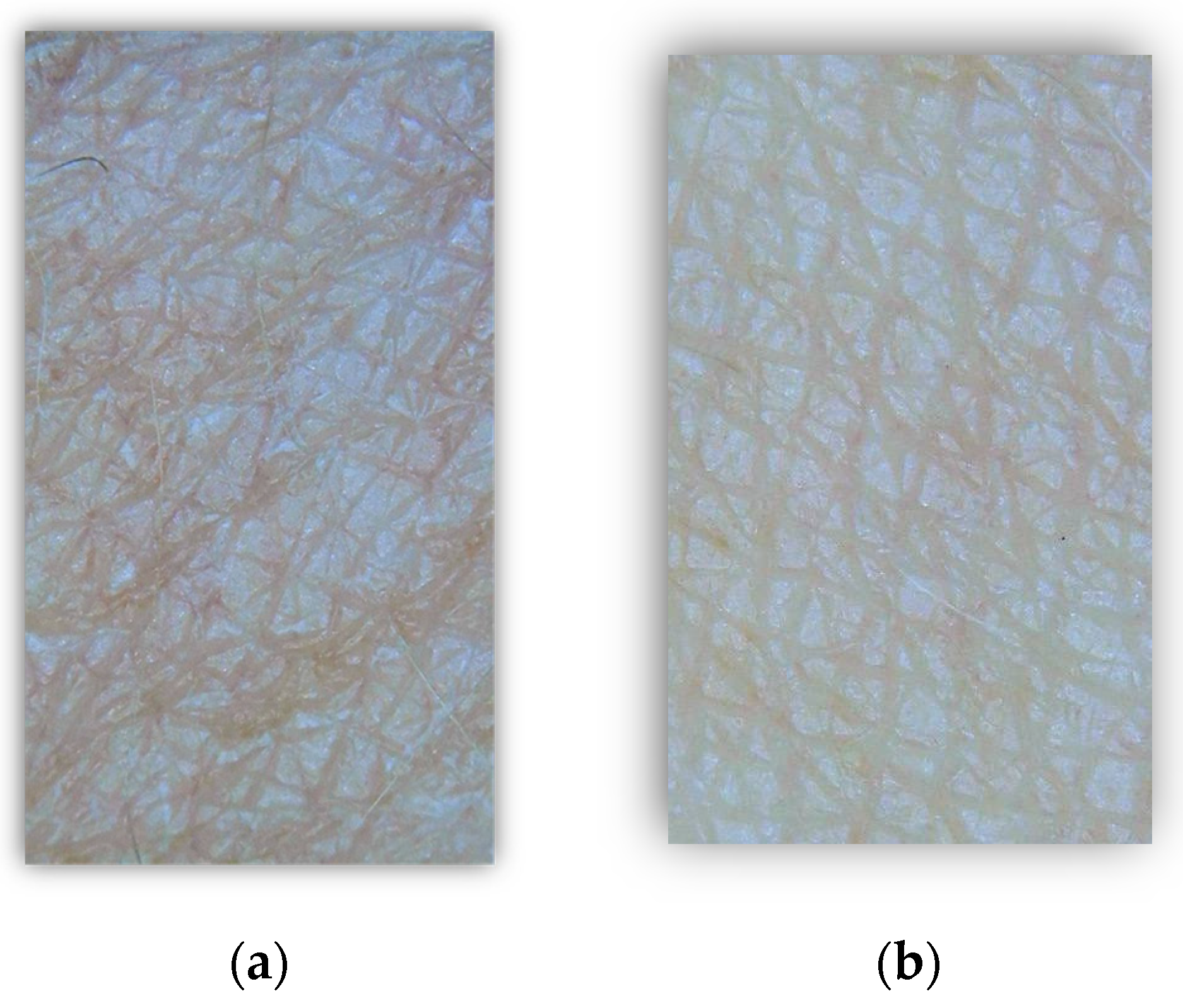 Molecules 29 01540 g004