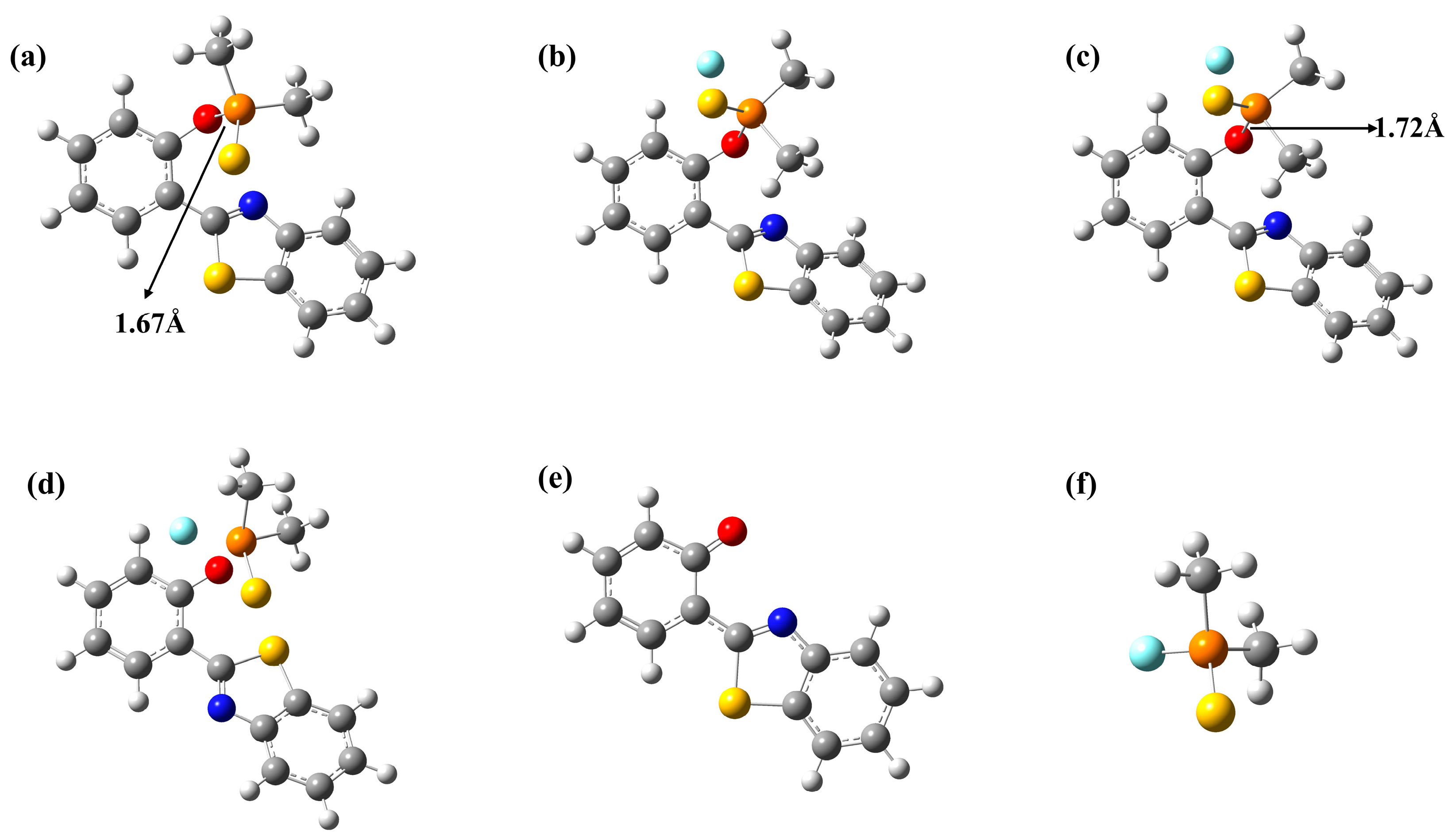 Molecules 29 01541 g001 Molecules 29 01541 g001