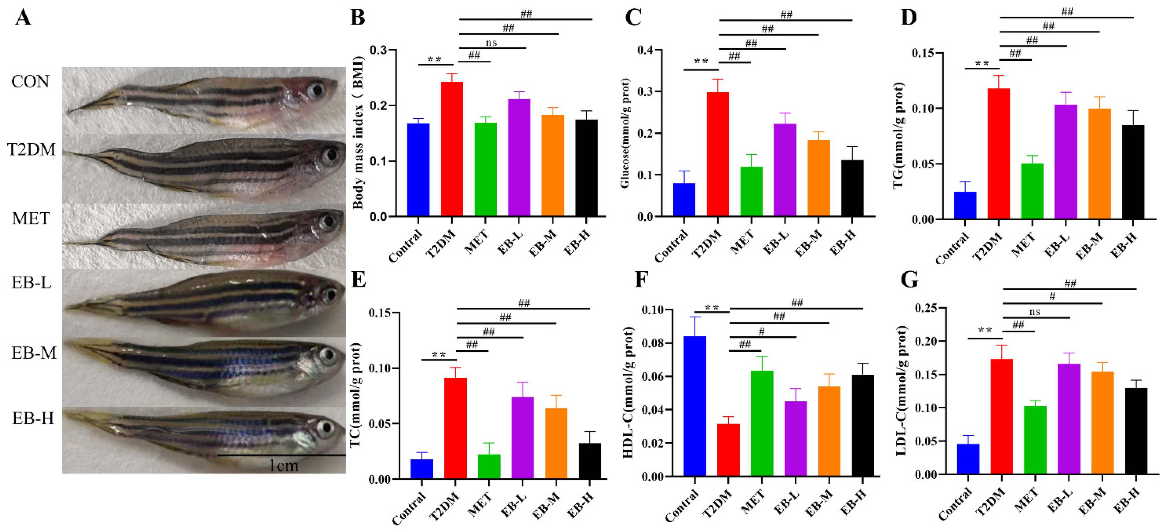 Molecules 29 01545 g002