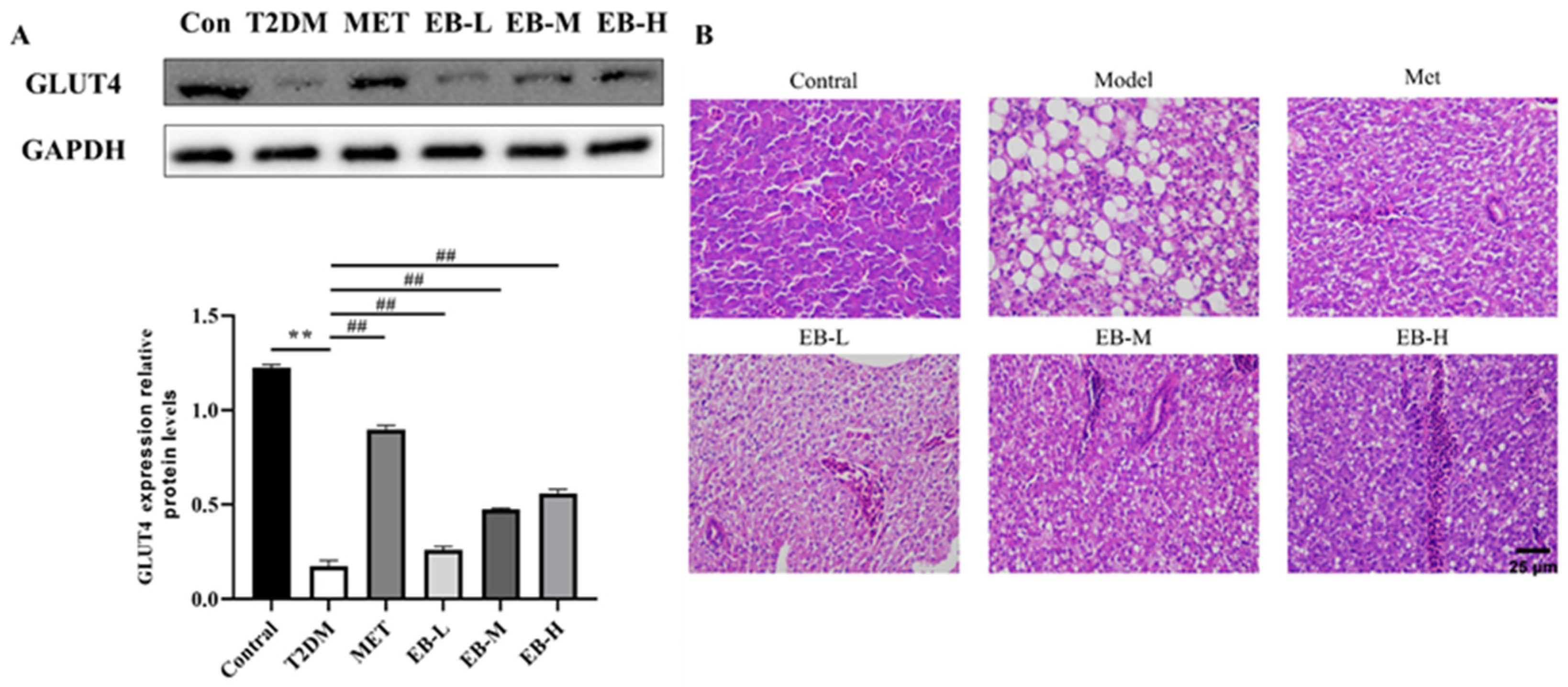 Molecules 29 01545 g003