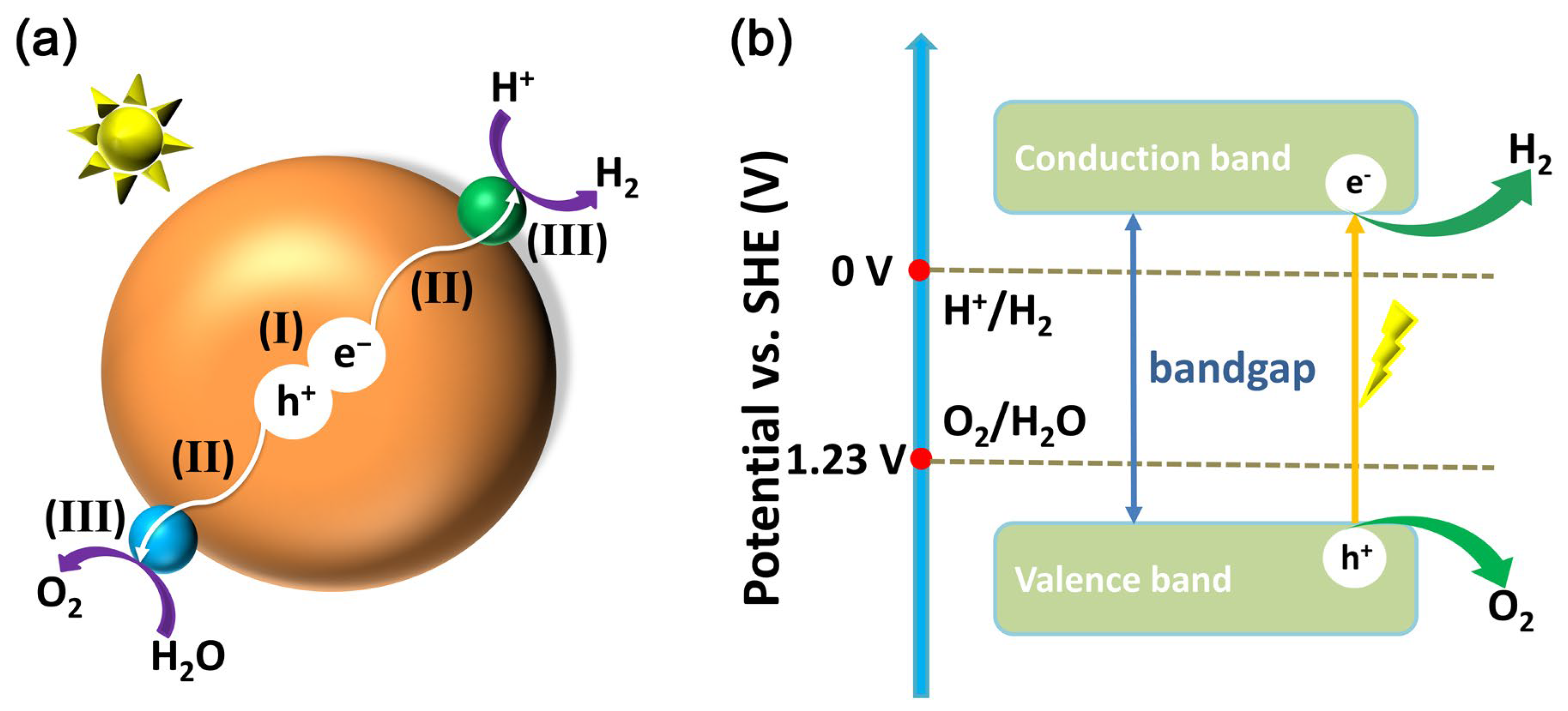 Molecules 29 01549 g001 Molecules 29 01549 g001