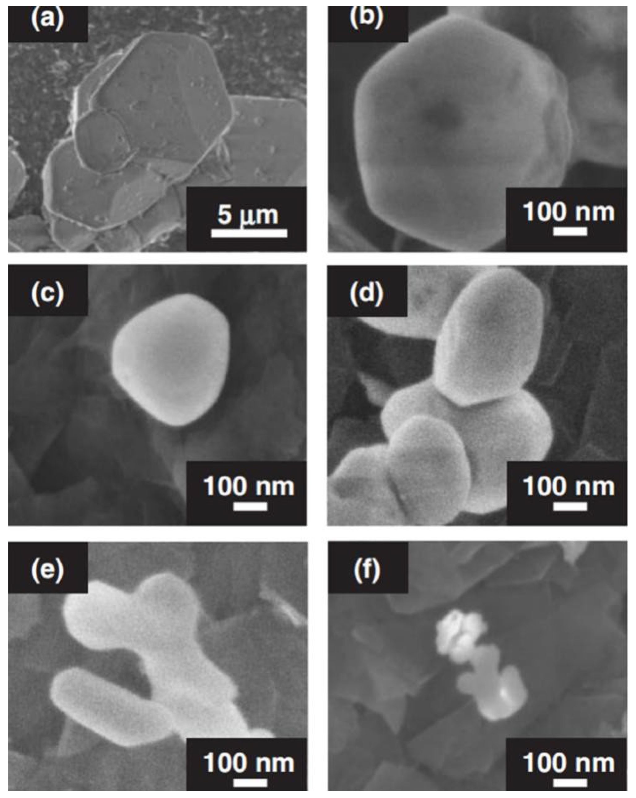 Molecules 29 01549 g002 Molecules 29 01549 g002