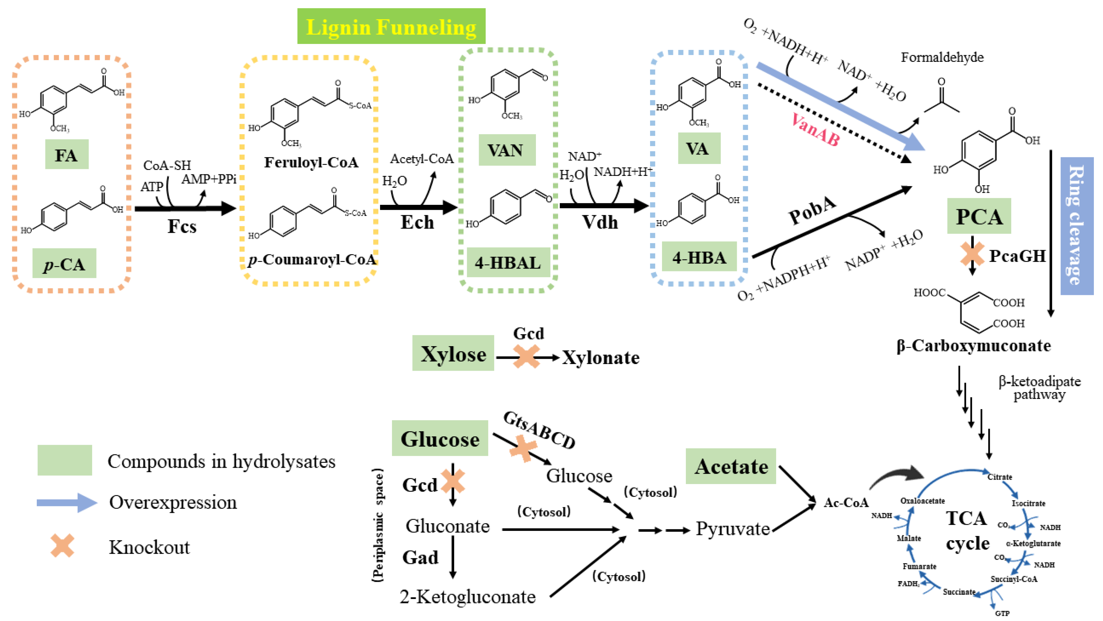 Molecules 29 01555 g003 Molecules 29 01555 g003