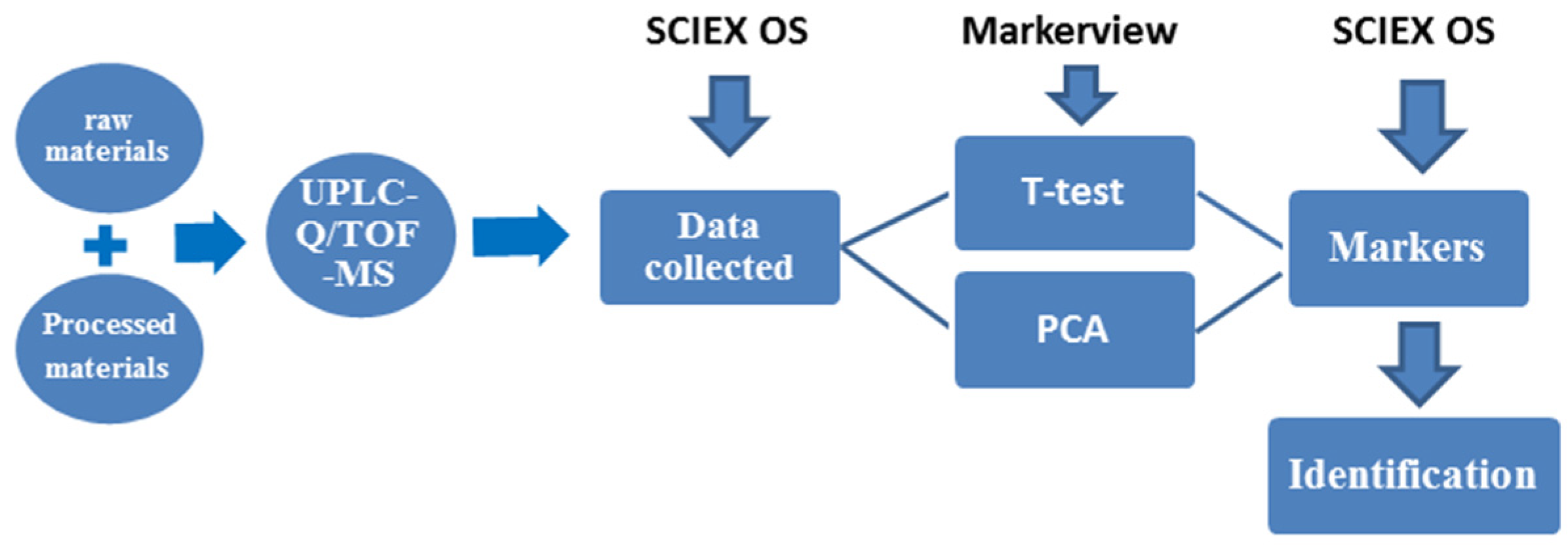Molecules 29 01559 g001