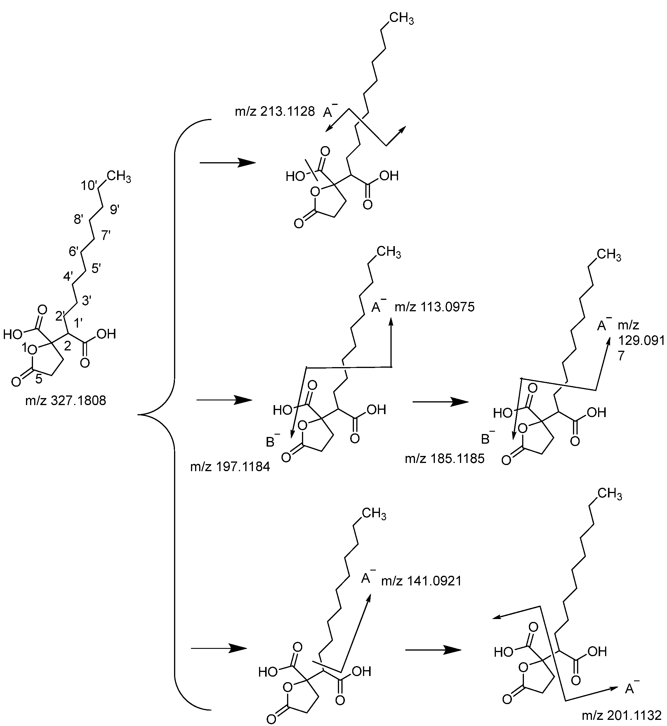 Molecules 29 01559 g003