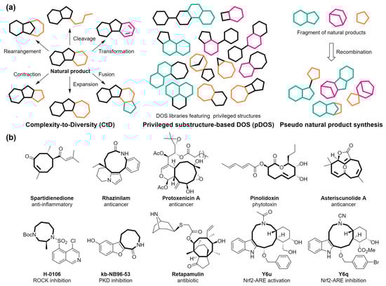 Molecules 29 01562 g001