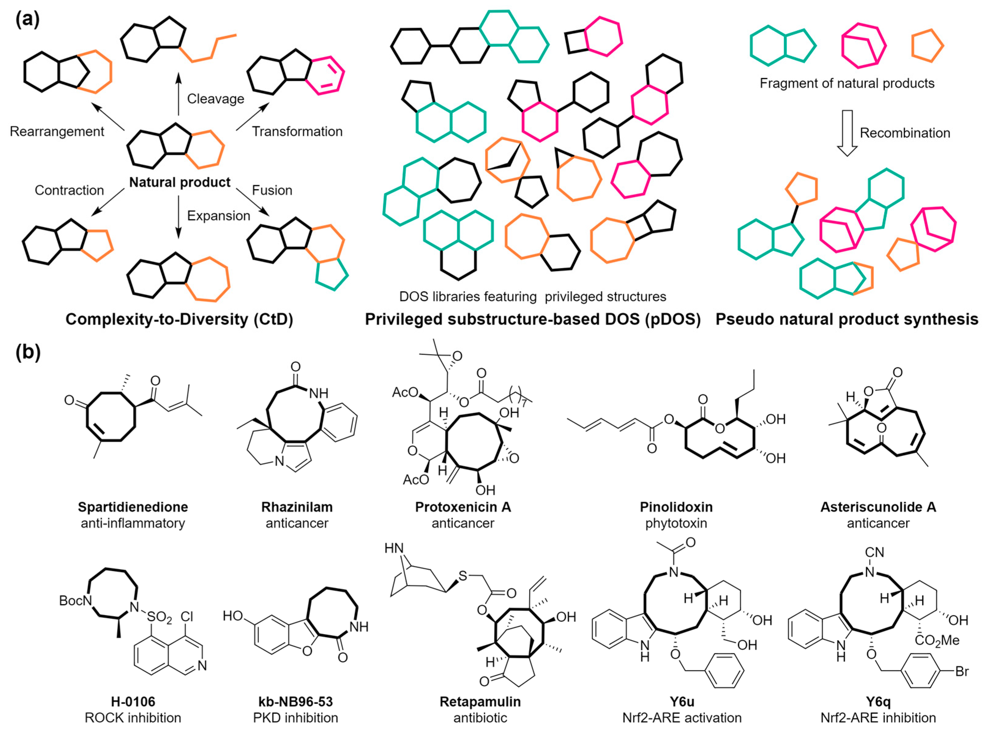 Molecules 29 01562 g001