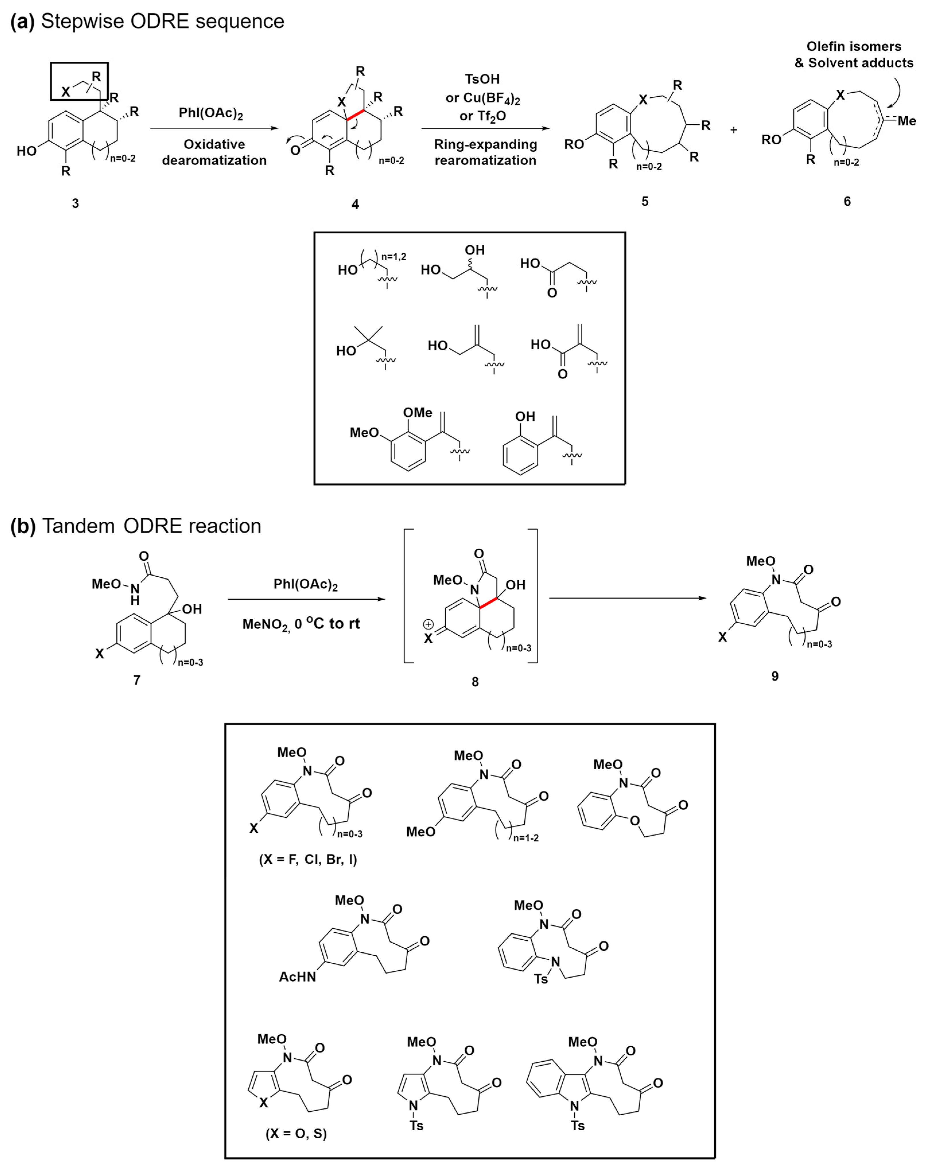 Molecules 29 01562 sch002