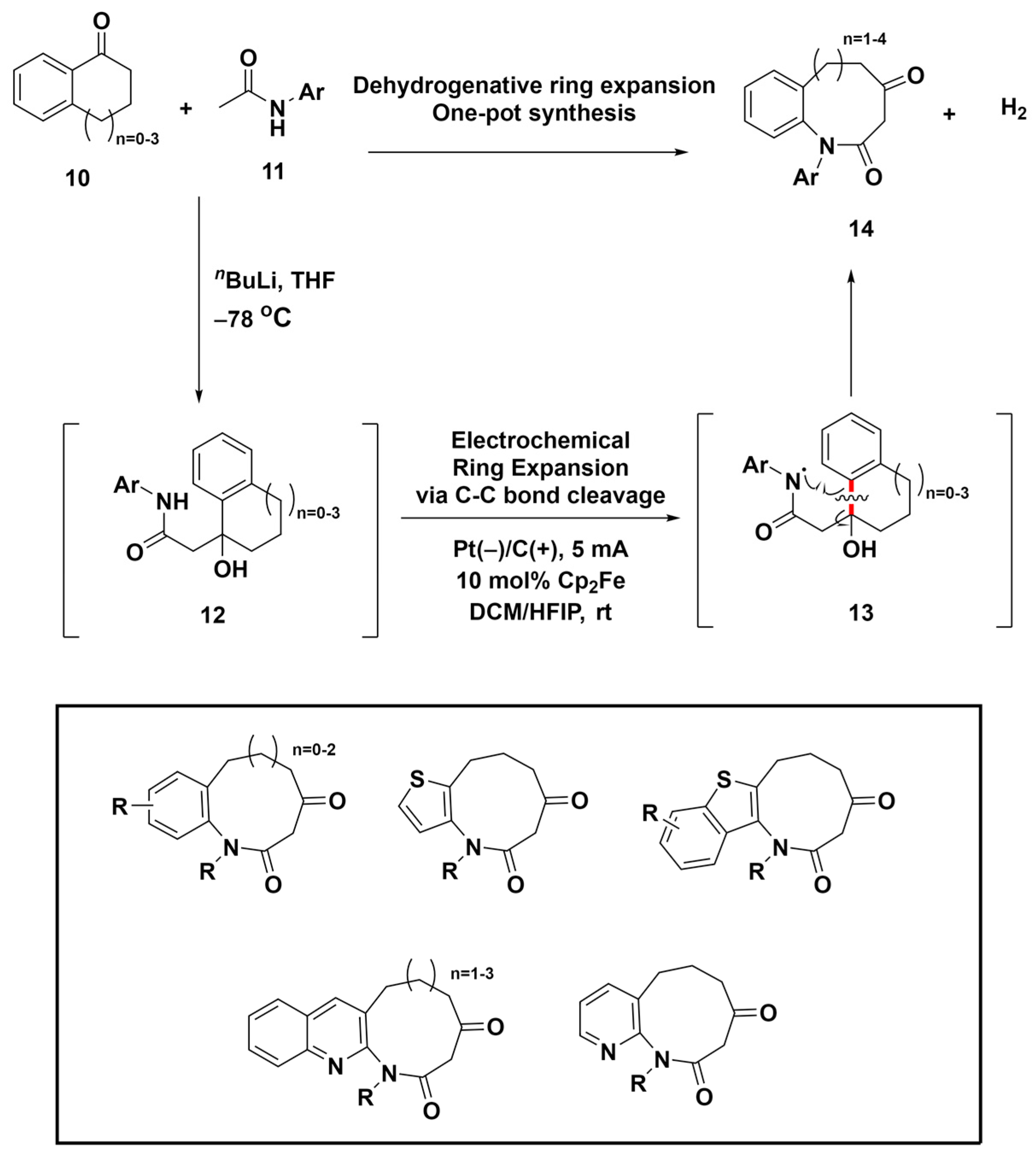 Molecules 29 01562 sch003