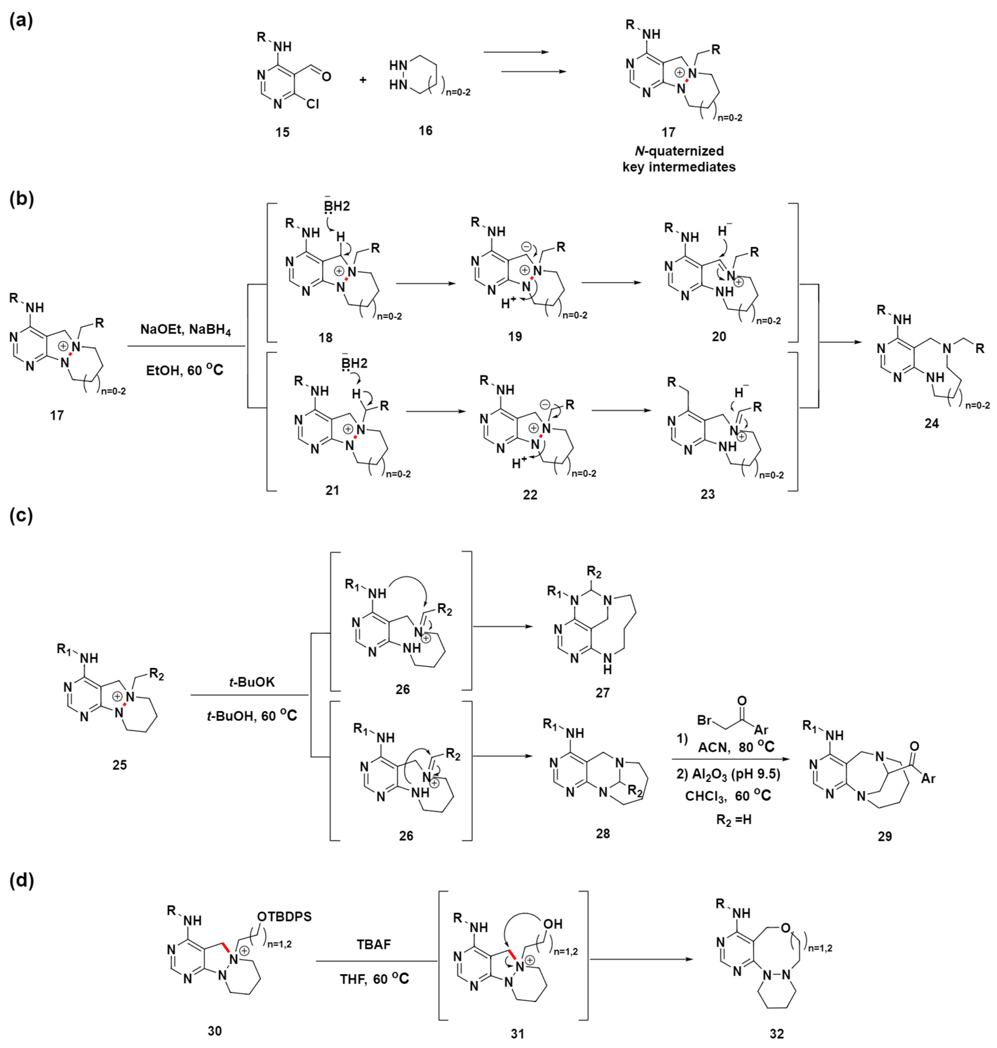 Molecules 29 01562 sch004