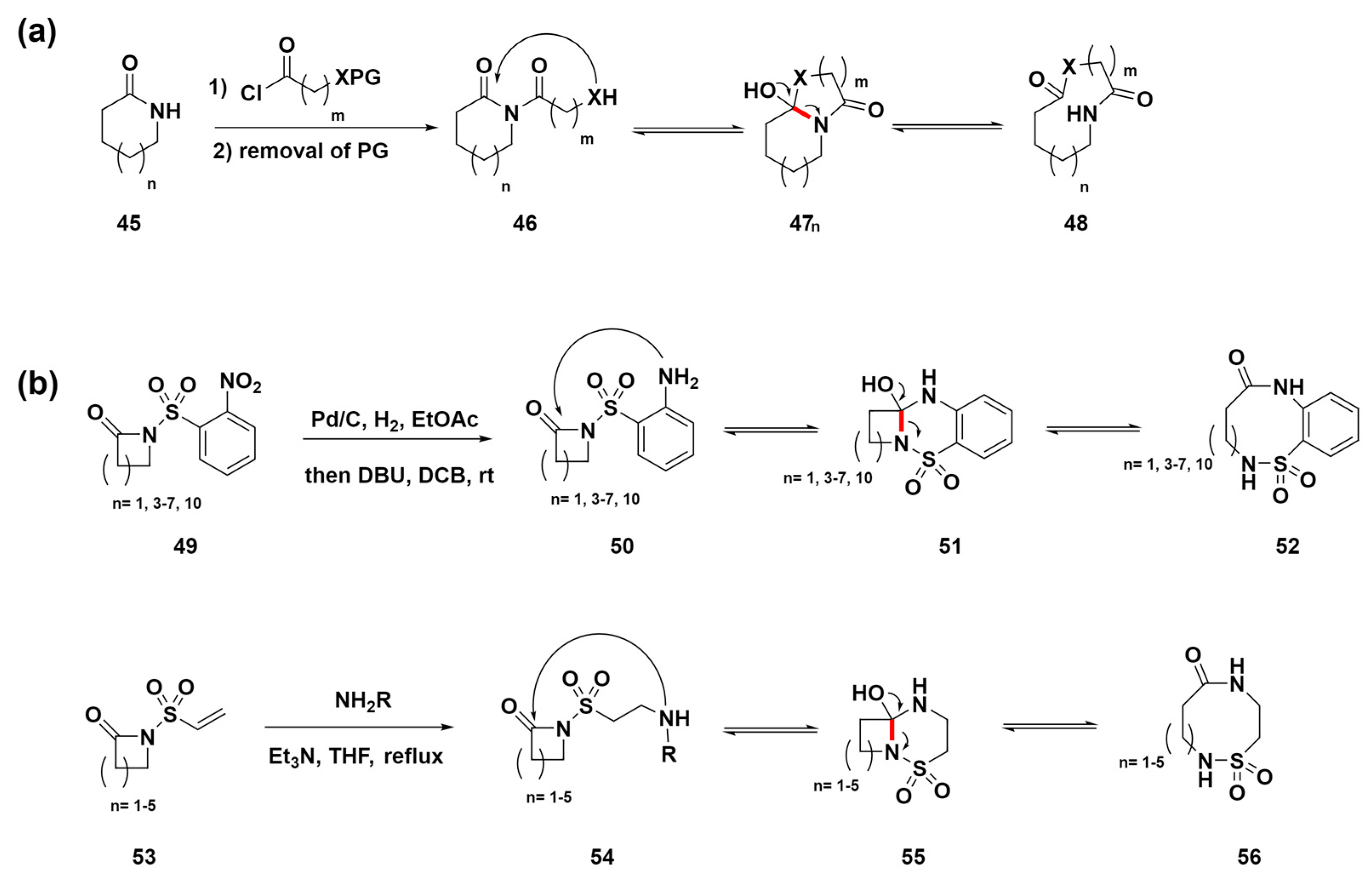 Molecules 29 01562 sch006