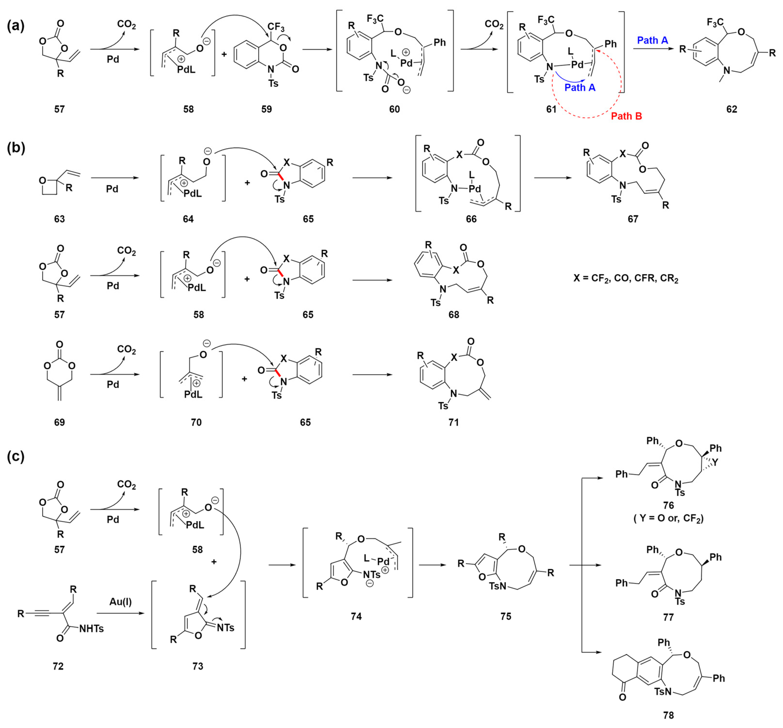 Molecules 29 01562 sch007