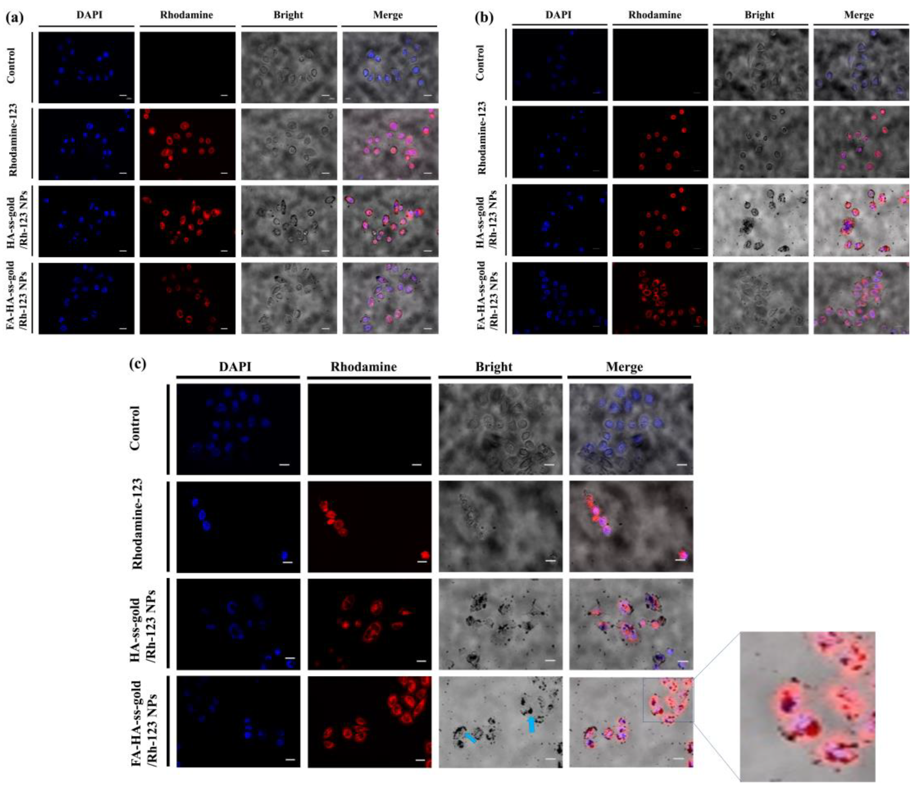 Molecules 29 01564 g008 Molecules 29 01564 g008