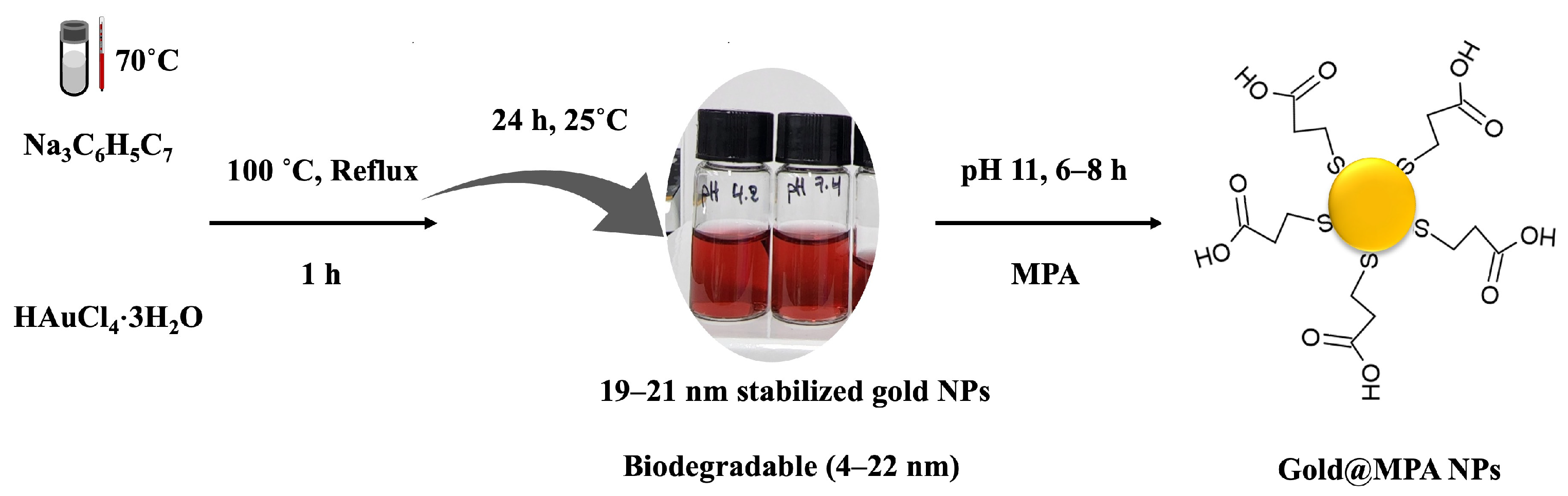 Molecules 29 01564 g009 Molecules 29 01564 g009