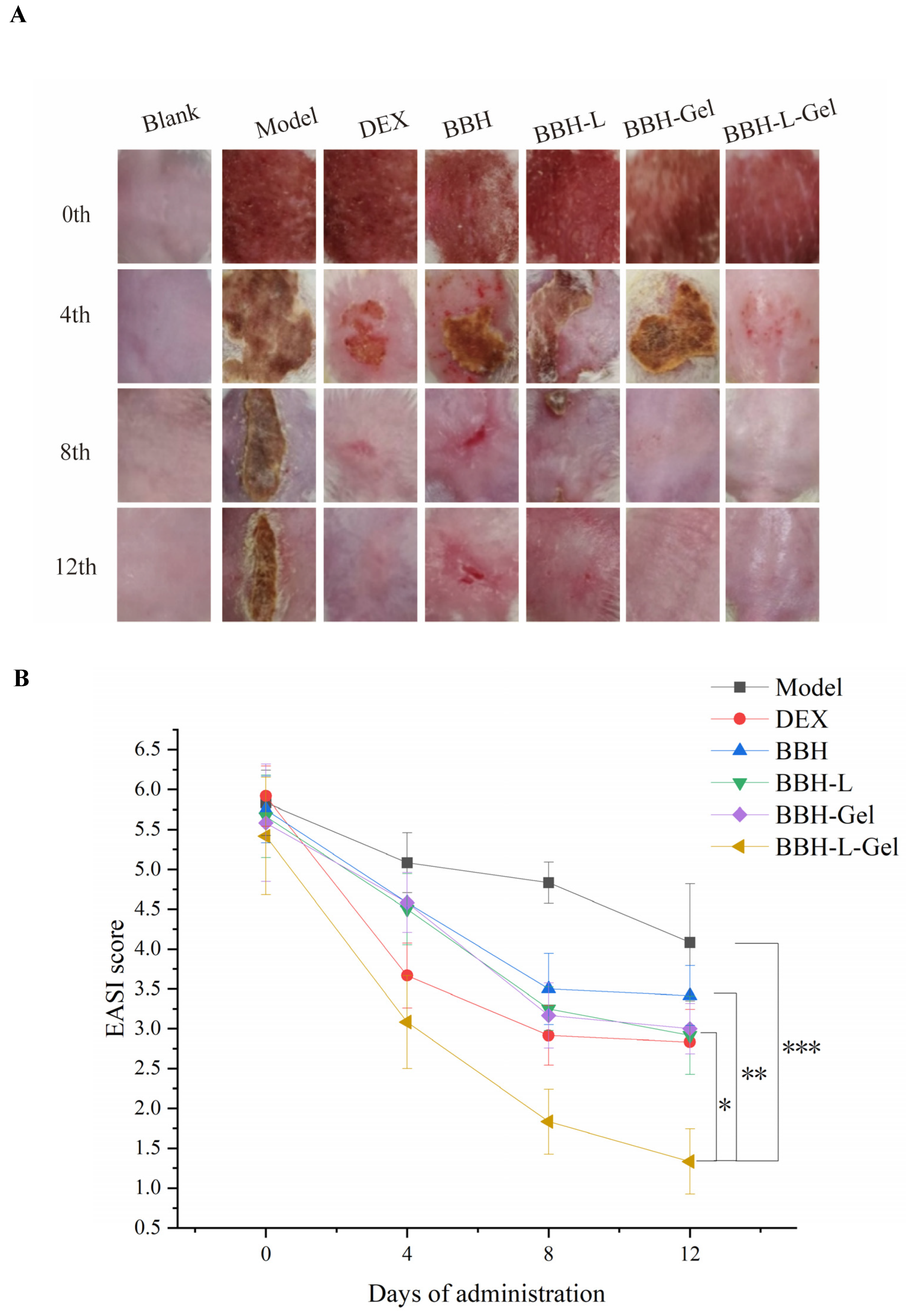 Molecules 29 01566 g006
