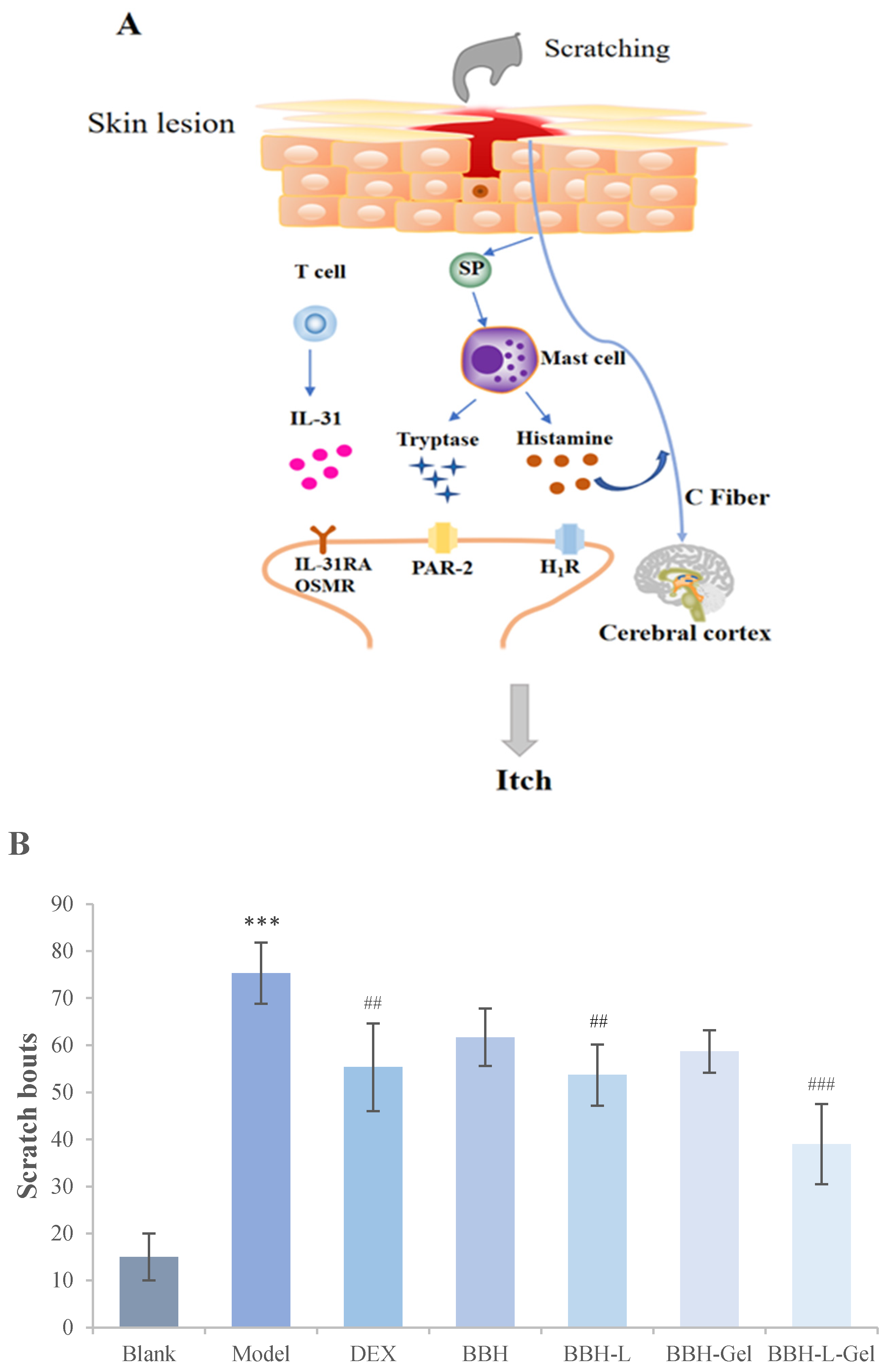 Molecules 29 01566 g007