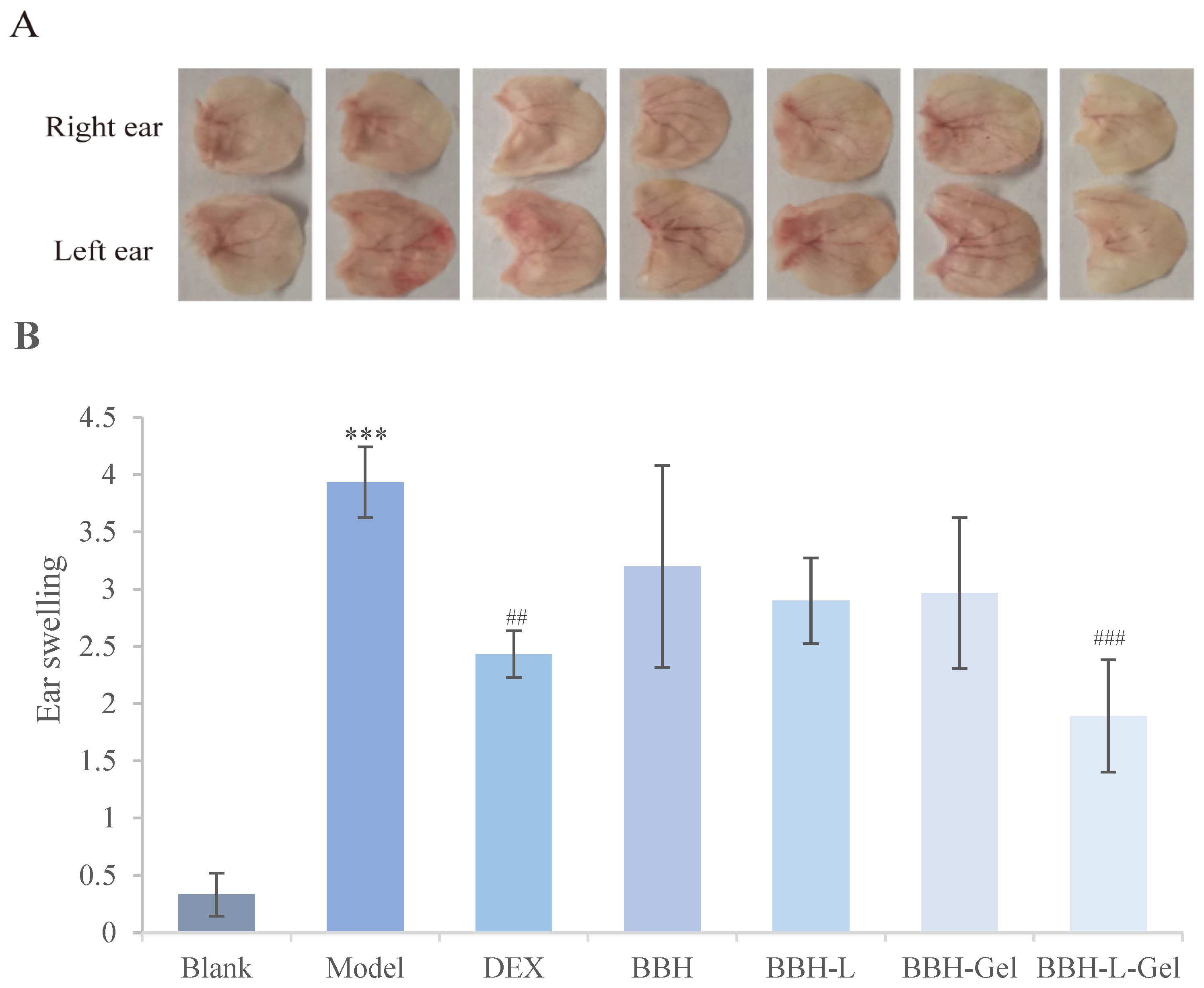 Molecules 29 01566 g008