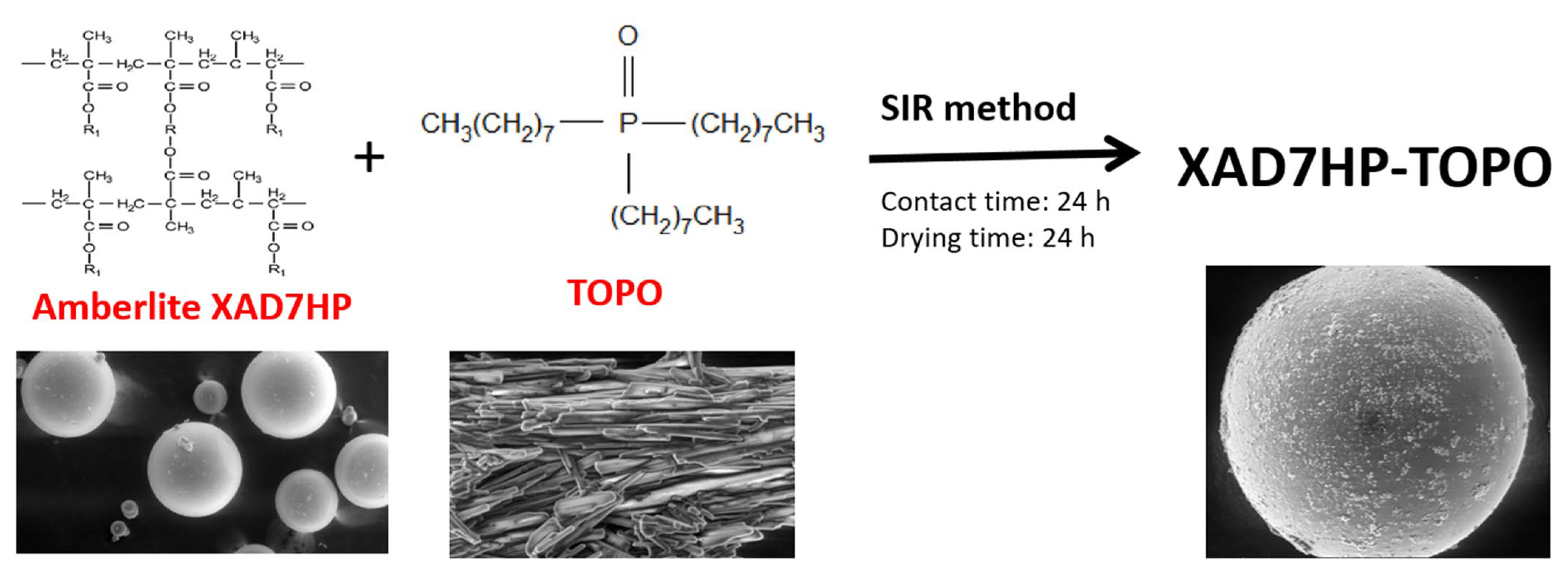 Molecules 29 01578 g010