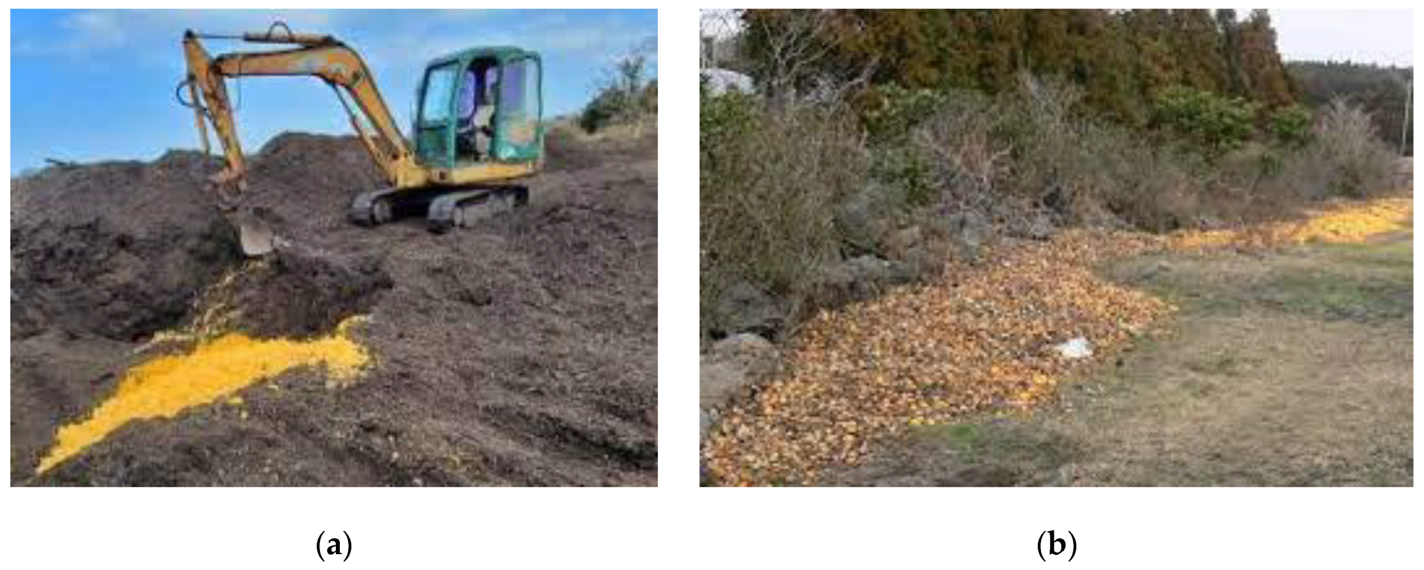 Molecules 29 01589 g001