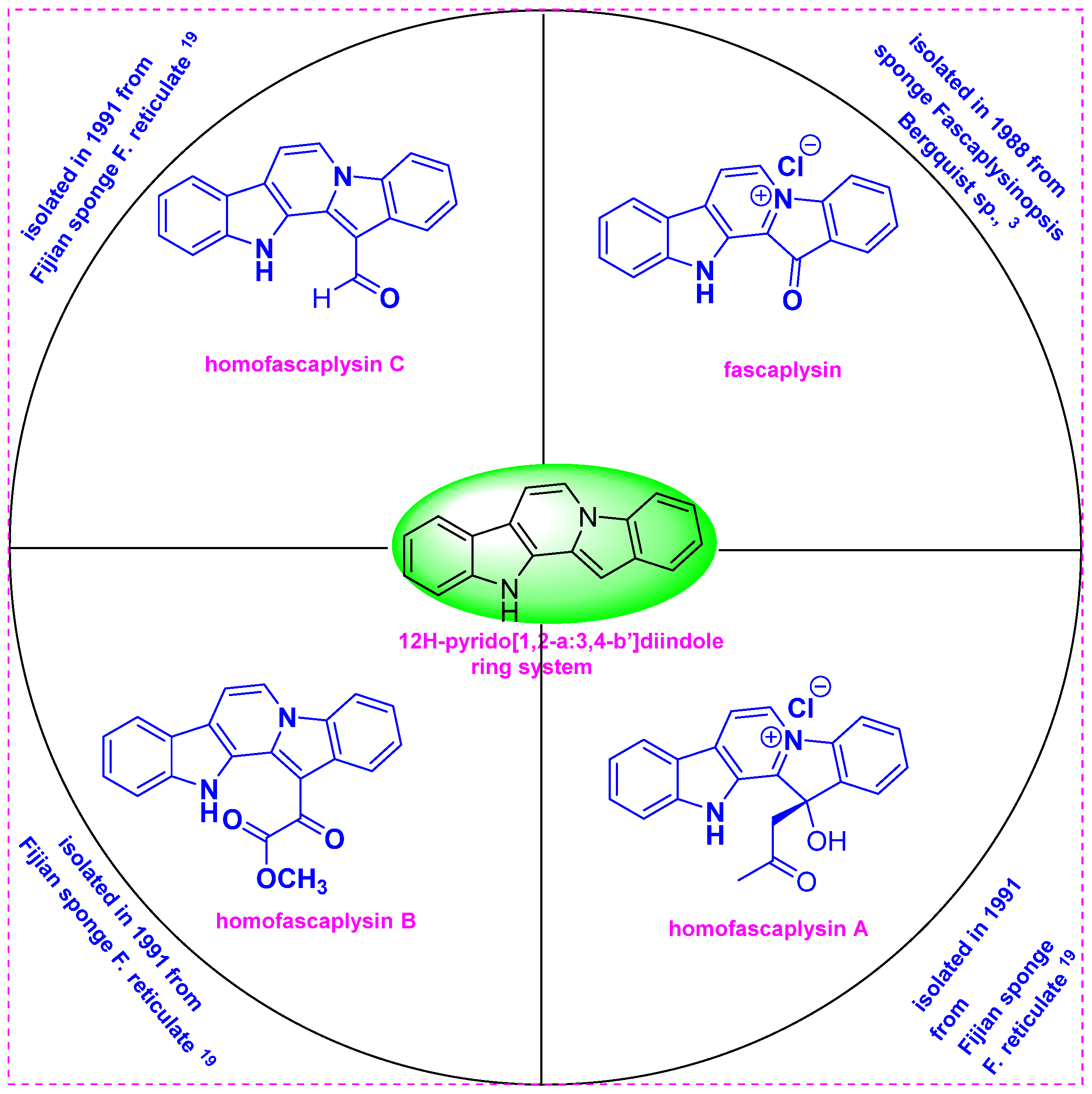 Molecules 29 01590 g001