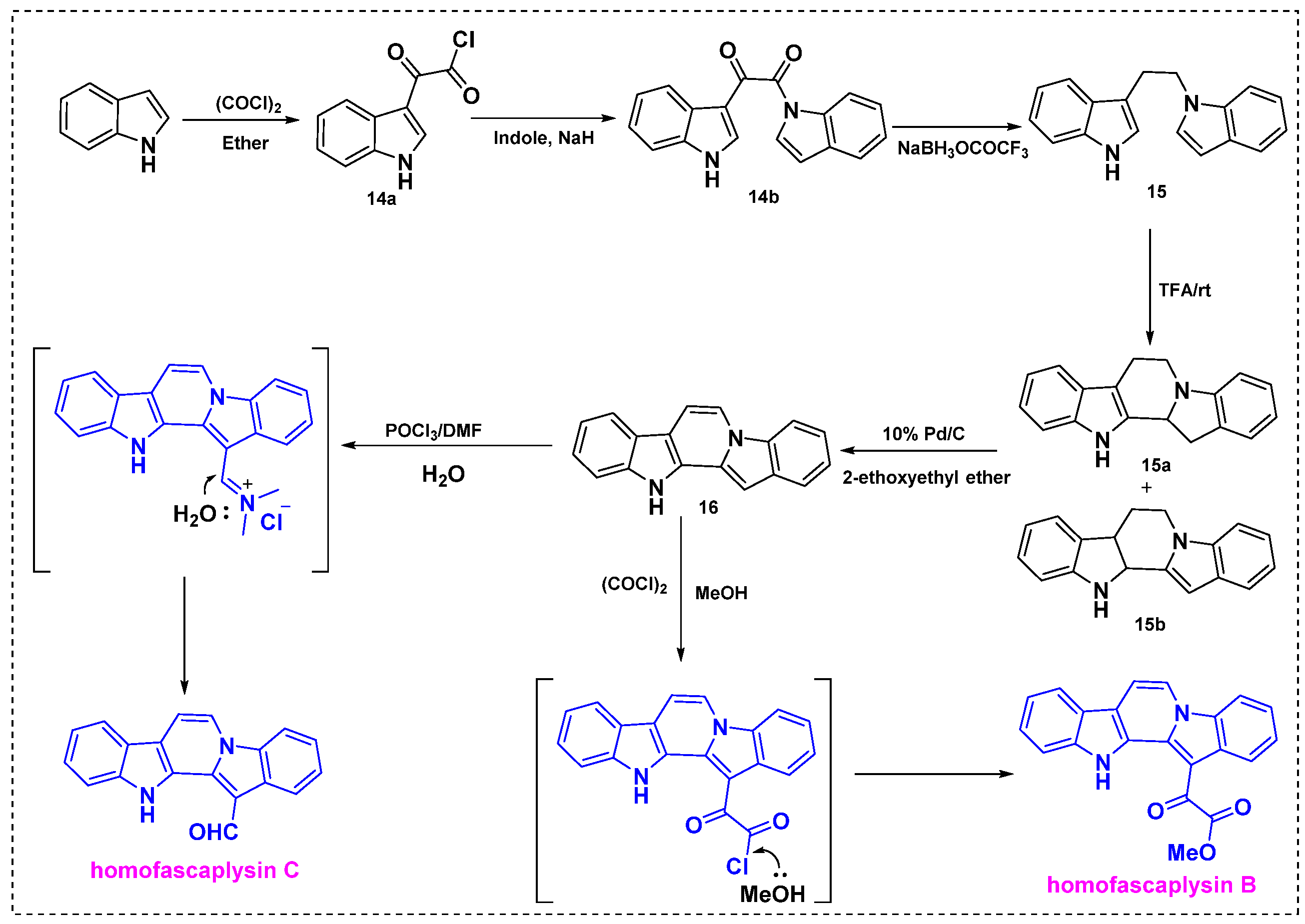Molecules 29 01590 sch012