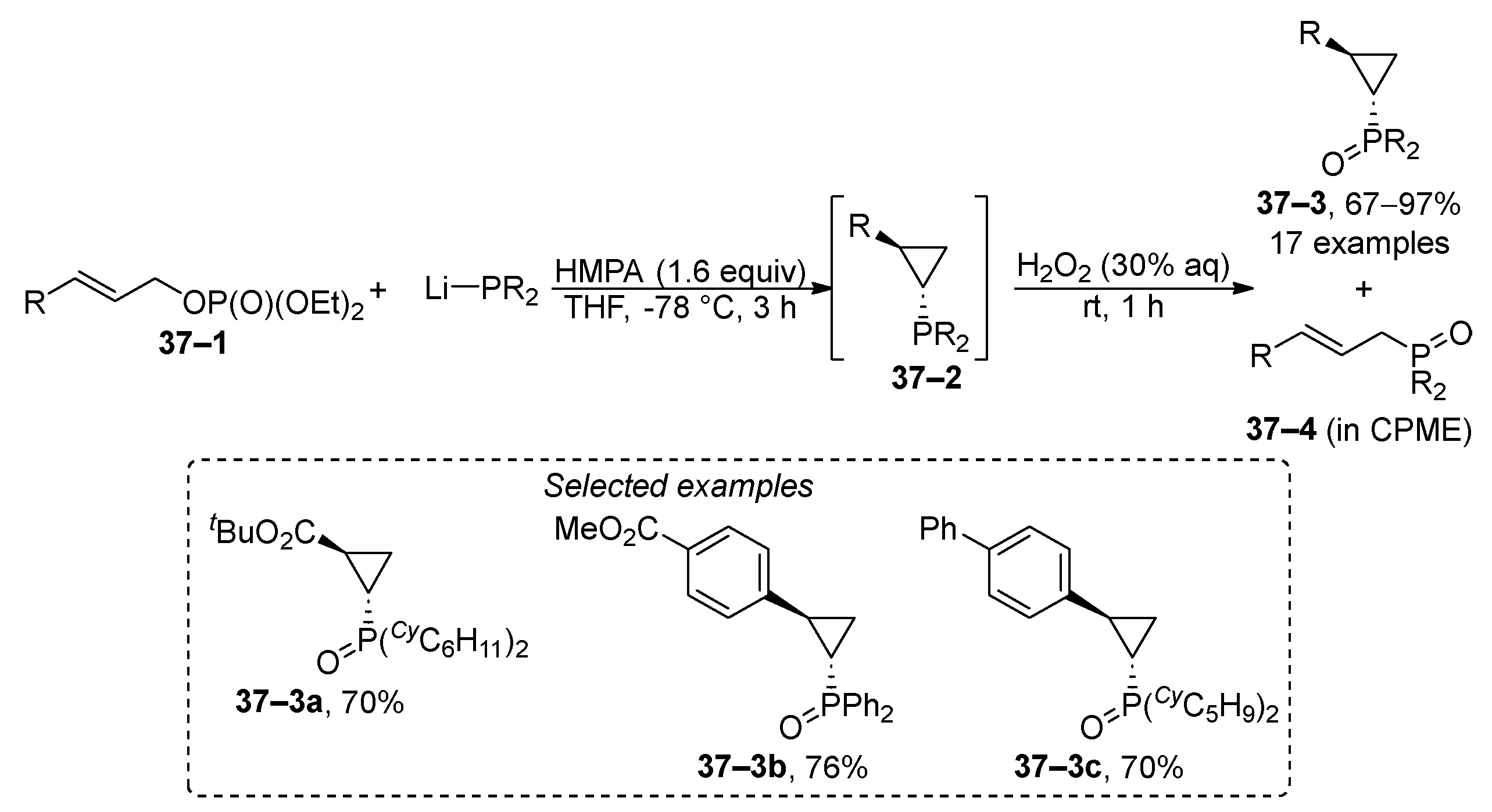 Molecules 29 01593 sch037