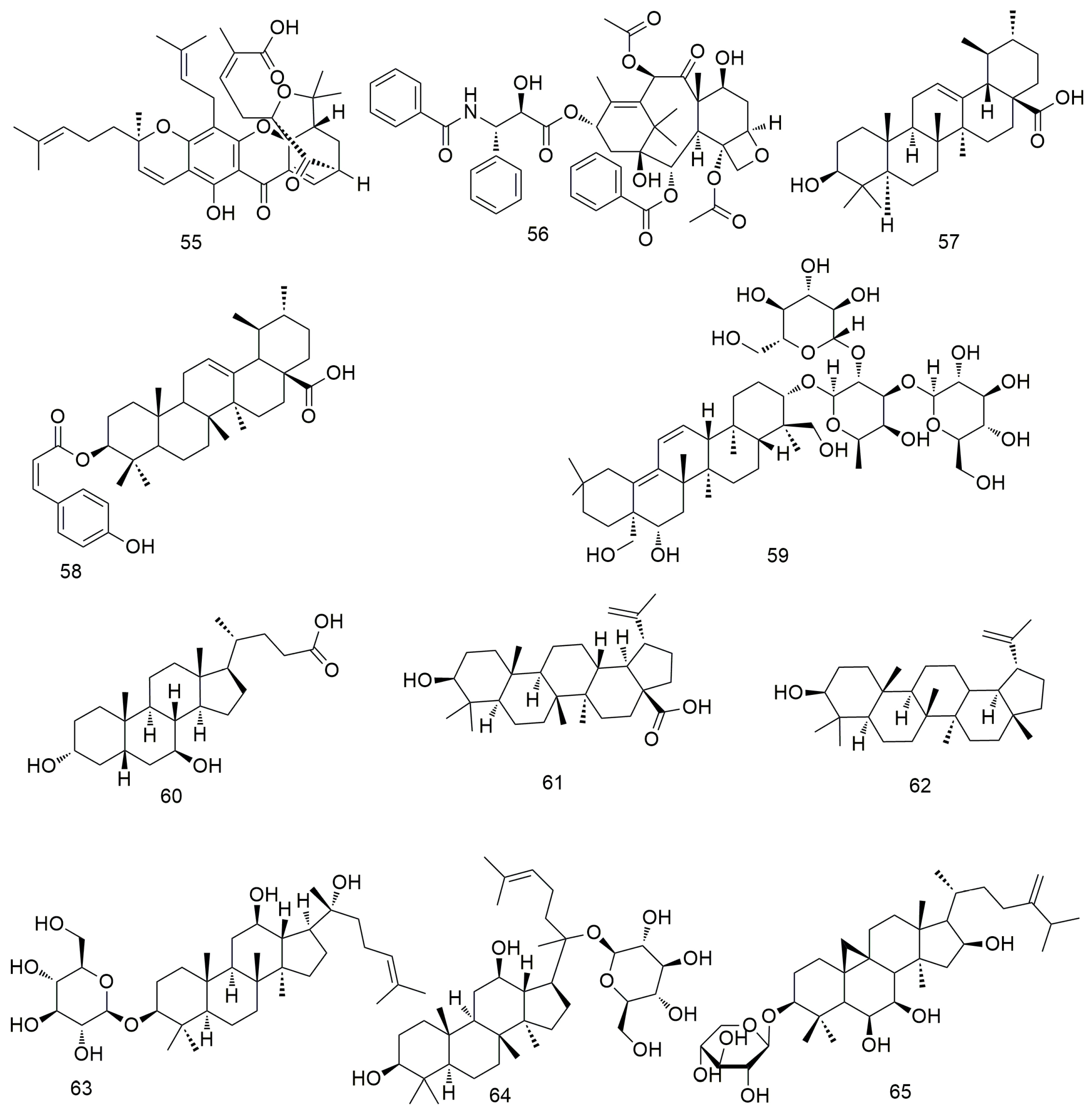 Molecules 29 01594 g007